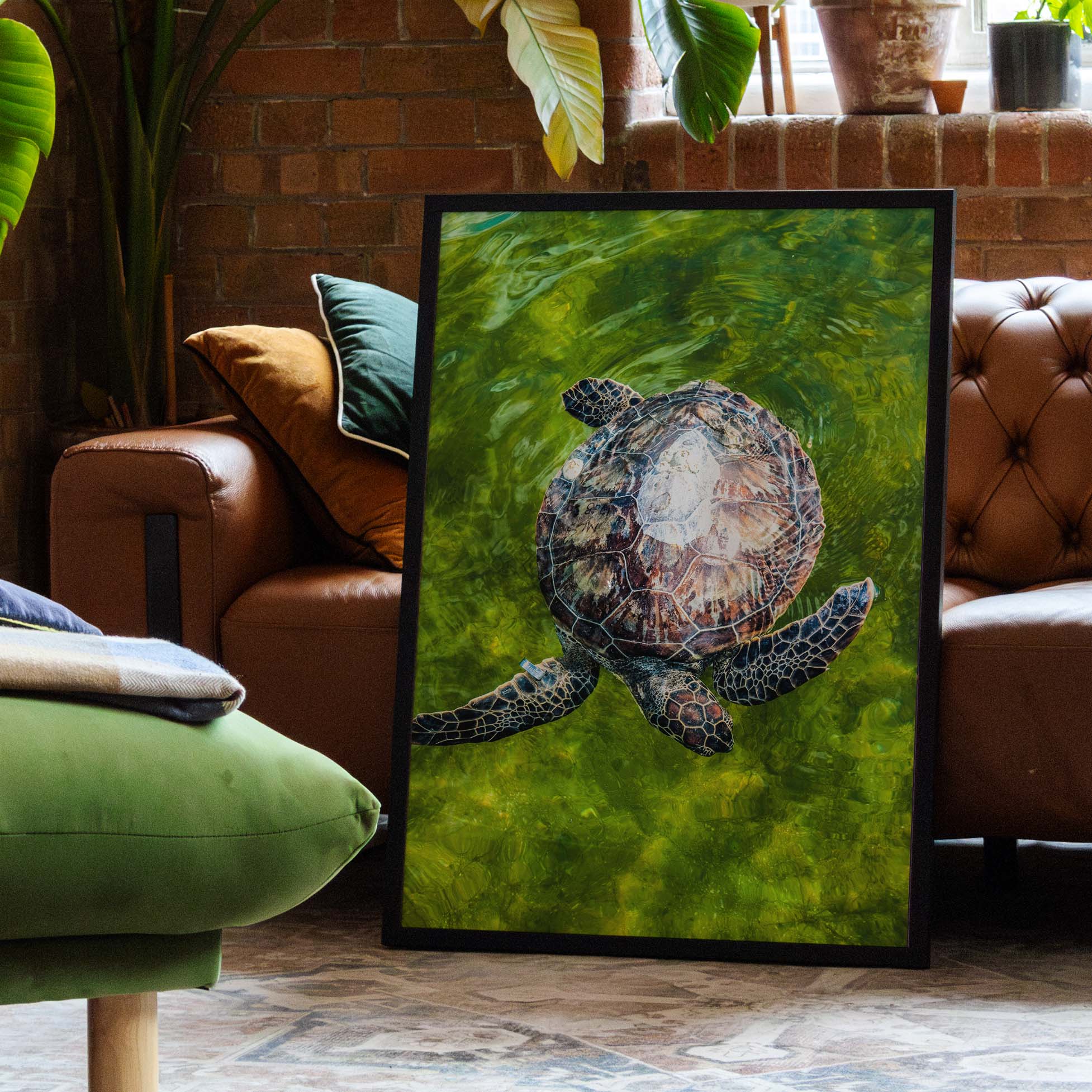 Fotografie - Tiere - Poster