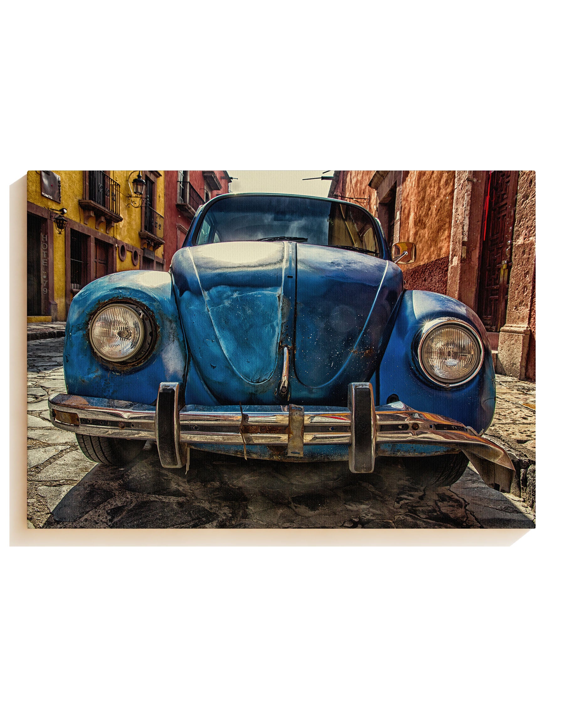 Beetle blue - Canvas