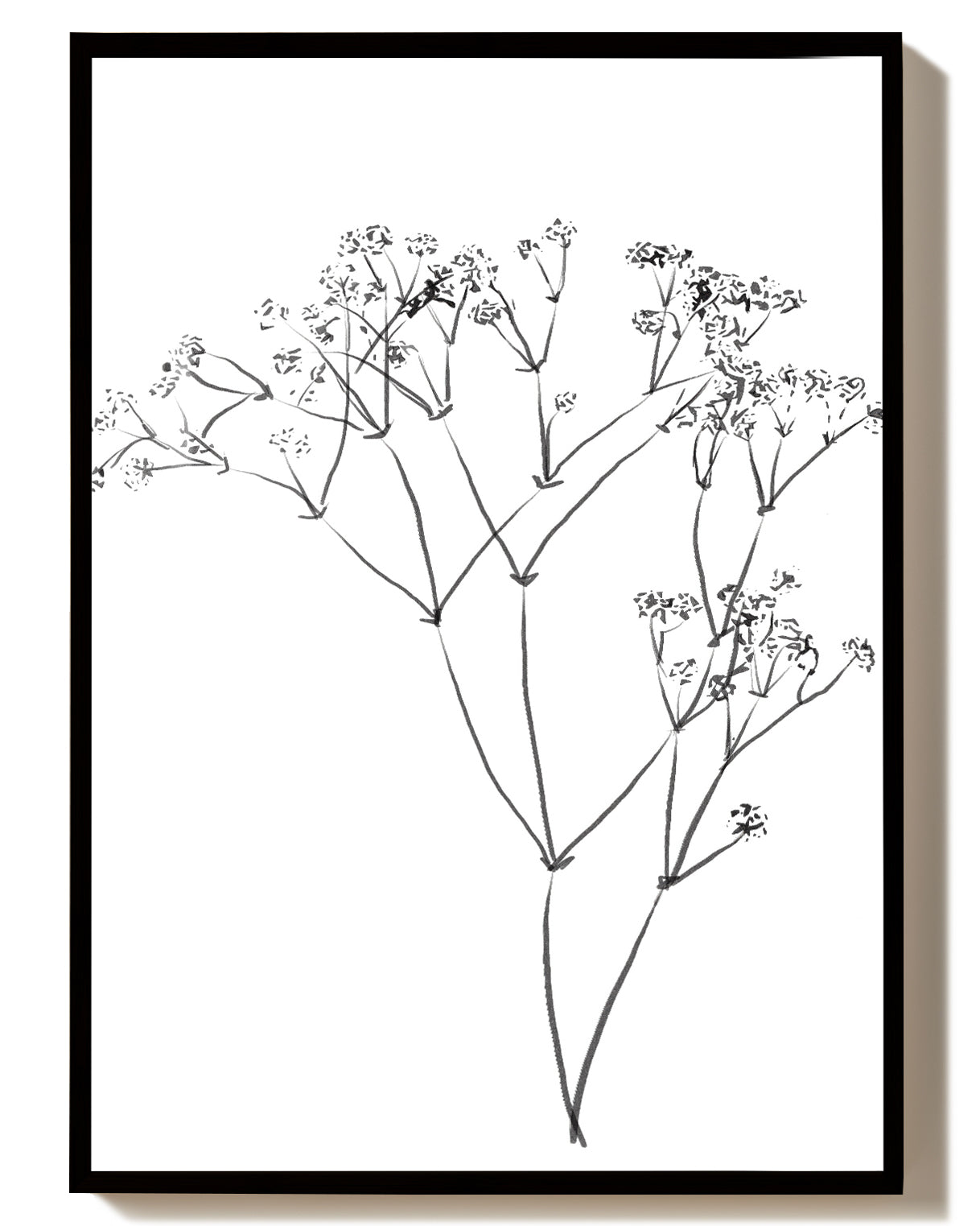 Zarte Botanische Linien Poster – Delicate Botanic Line