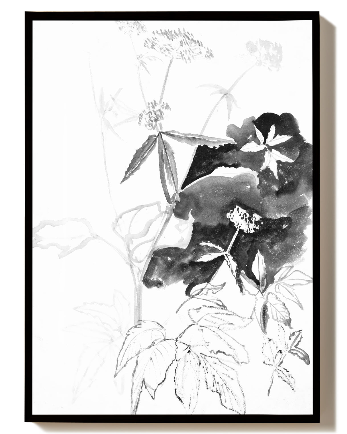 Schwarz Weiß Insekten Illustration – Ink Insect