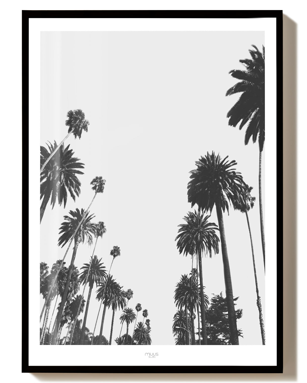 Palmen Himmel Poster – Palm Trees Sky View