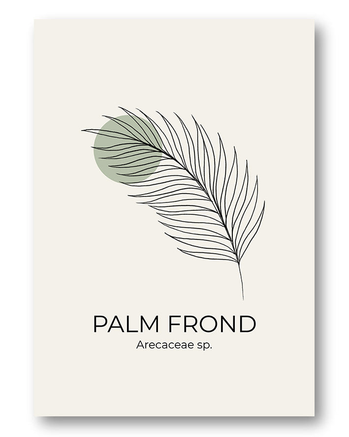 Palmblatt Dekorationsposter – Palm Frond