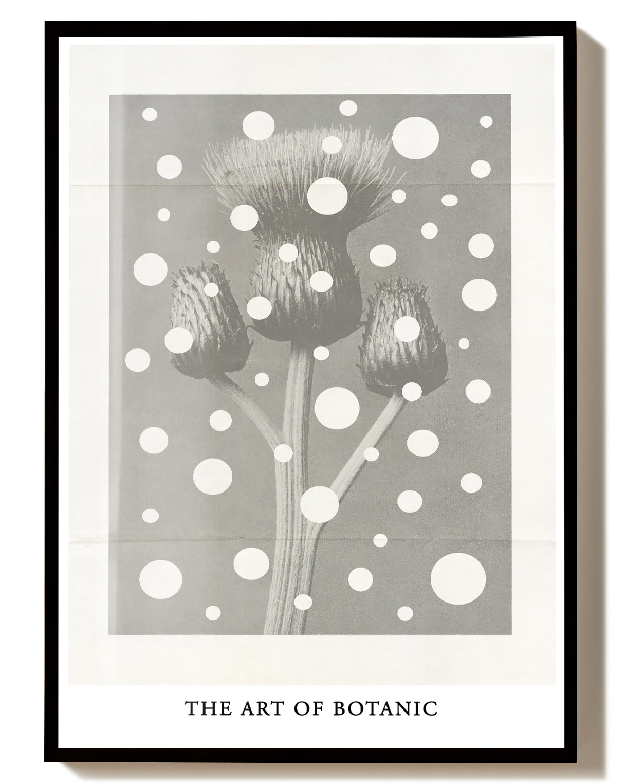 Botanisches Kunst Poster modern – The Art of Botanic Poster – FineArt Wandbild, moderne Kunst & Fine Art Print von Spawnd, handgefertigt & Made in Germany