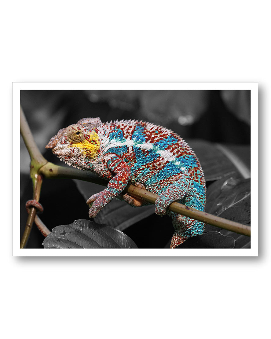 Camouflage error Poster – FineArt Wandbild, moderne Kunst & Fine Art Print von Spawnd, handgefertigt & Made in Germany
