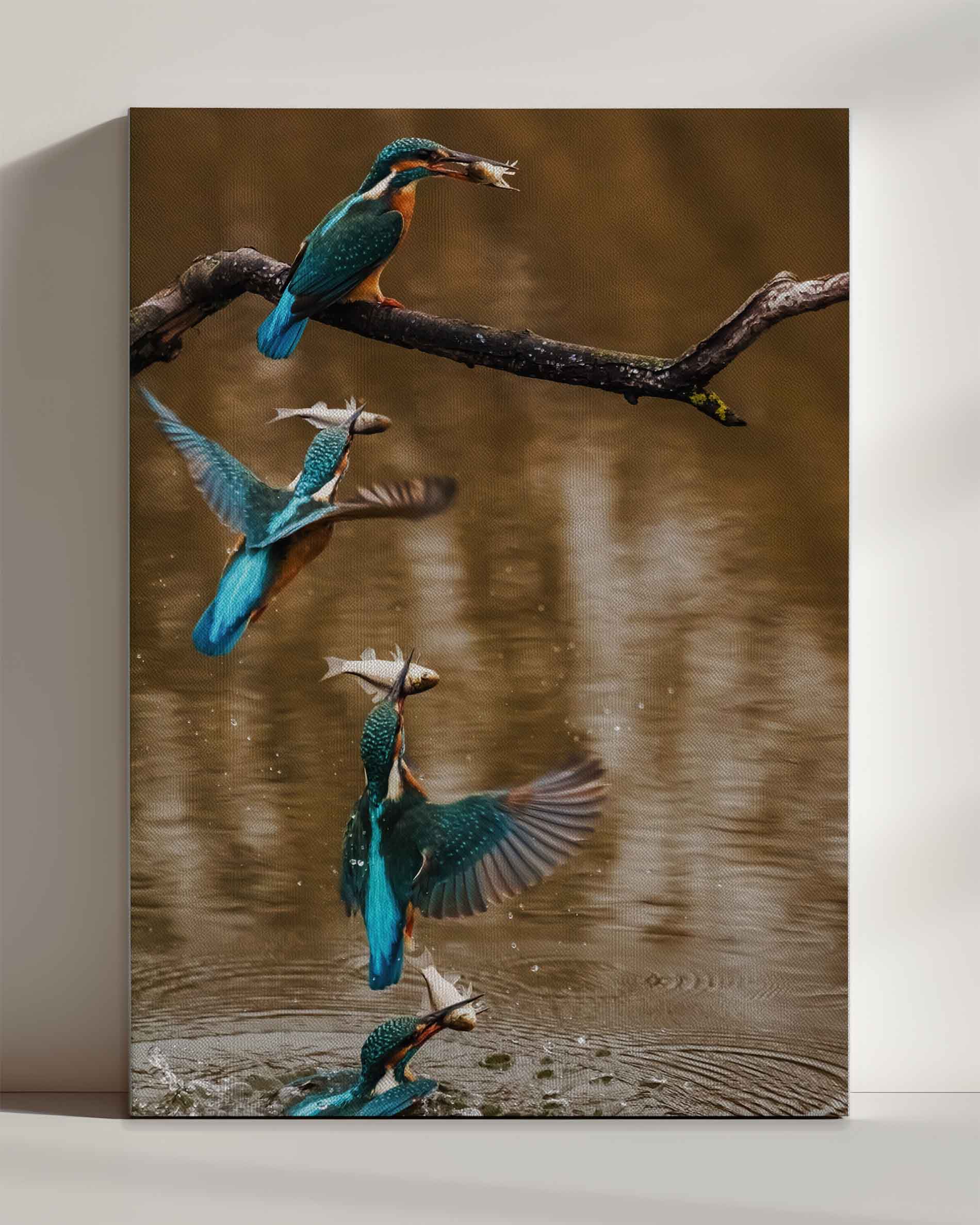 Kingfisher No. 2 - Canvas