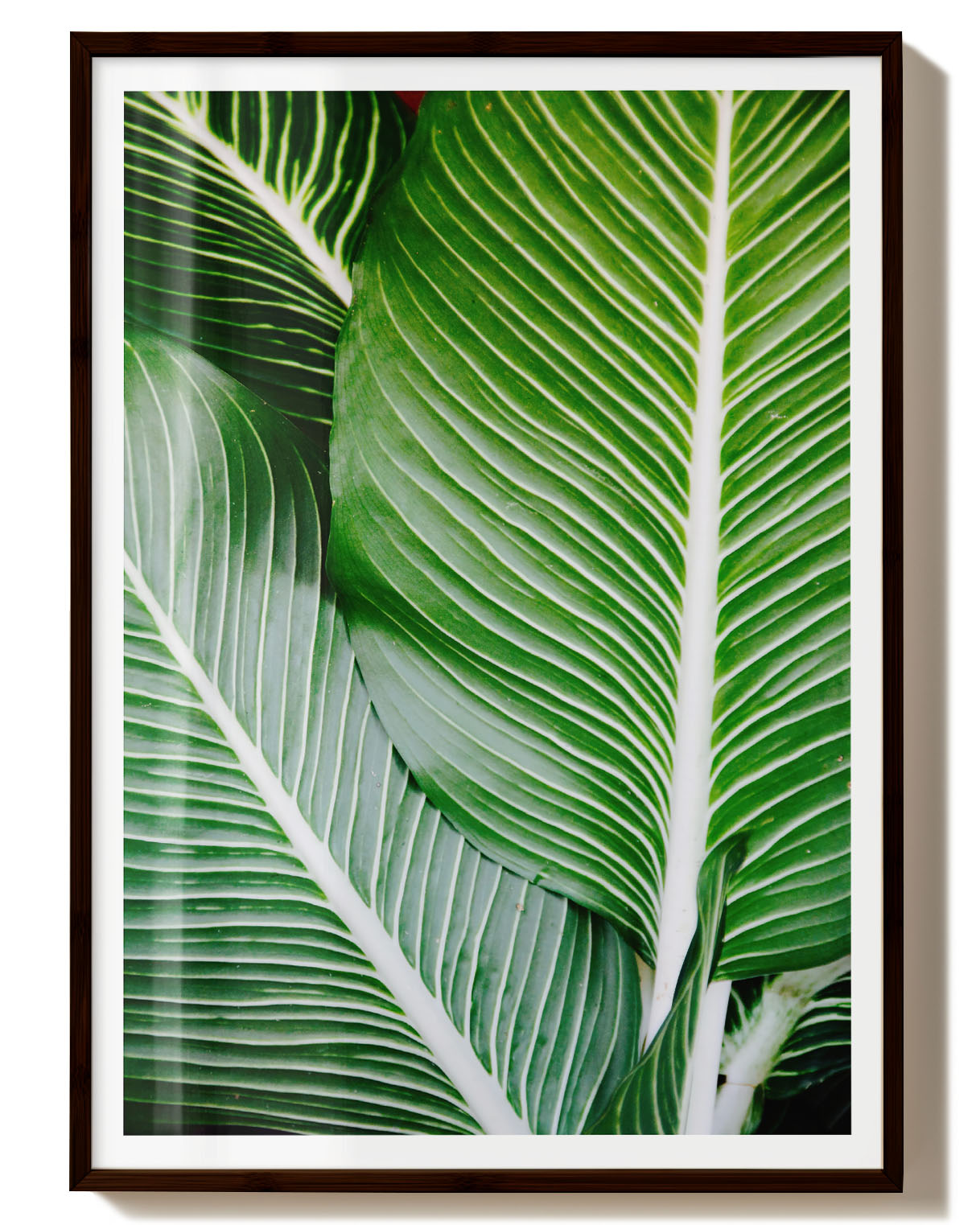 Leave Poster – FineArt Wandbild, moderne Kunst & Fine Art Print von Spawnd, handgefertigt & Made in Germany