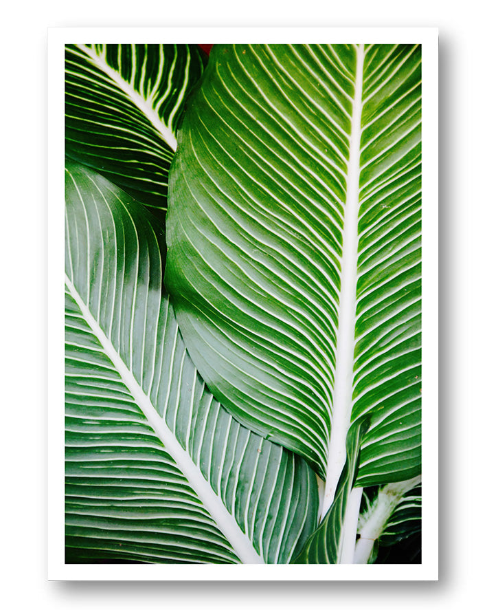 Leave Poster – FineArt Wandbild, moderne Kunst & Fine Art Print von Spawnd, handgefertigt & Made in Germany