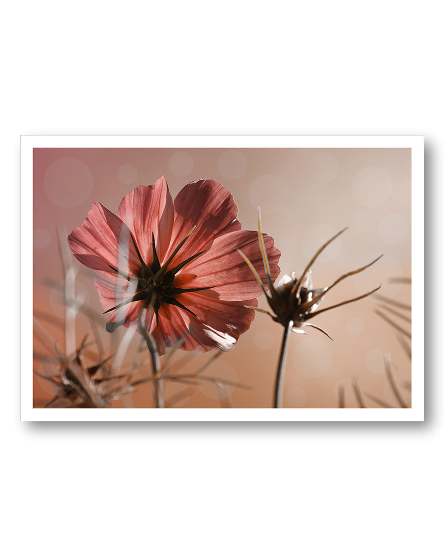 Lonely flower Poster – FineArt Wandbild, moderne Kunst & Fine Art Print von Spawnd, handgefertigt & Made in Germany