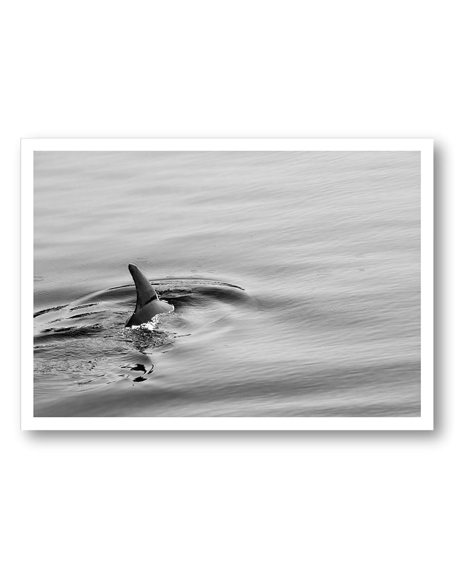 Ocean Poster – FineArt Wandbild, moderne Kunst & Fine Art Print von Spawnd, handgefertigt & Made in Germany