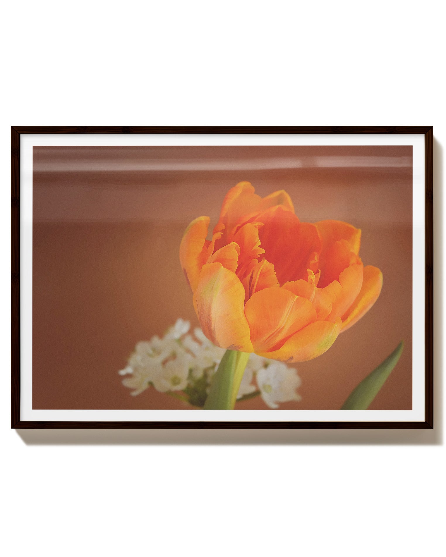 Orange flower Poster – FineArt Wandbild, moderne Kunst & Fine Art Print von Spawnd, handgefertigt & Made in Germany