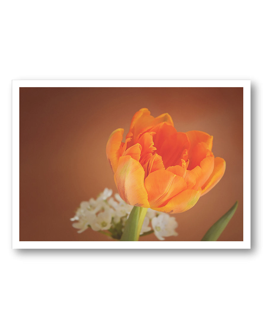 Orange flower Poster – FineArt Wandbild, moderne Kunst & Fine Art Print von Spawnd, handgefertigt & Made in Germany
