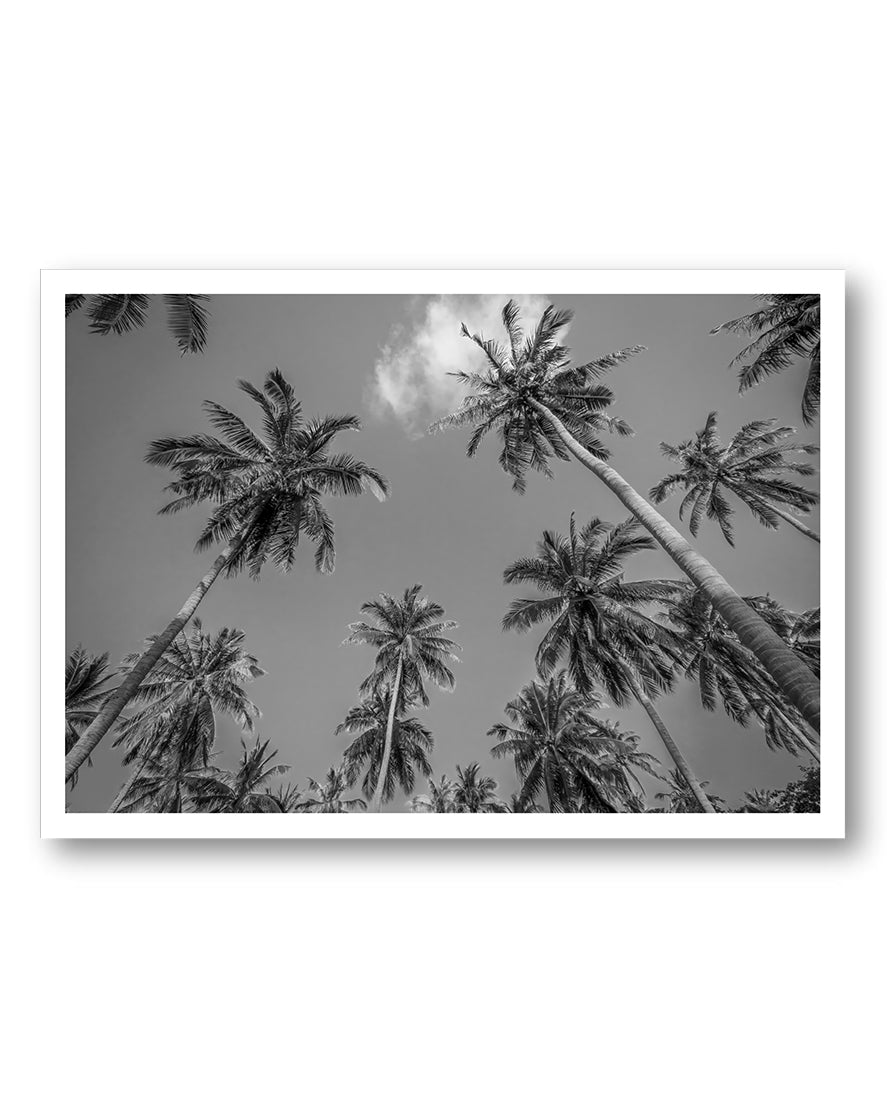 Palmes Poster – FineArt Wandbild, moderne Kunst & Fine Art Print von Spawnd, handgefertigt & Made in Germany