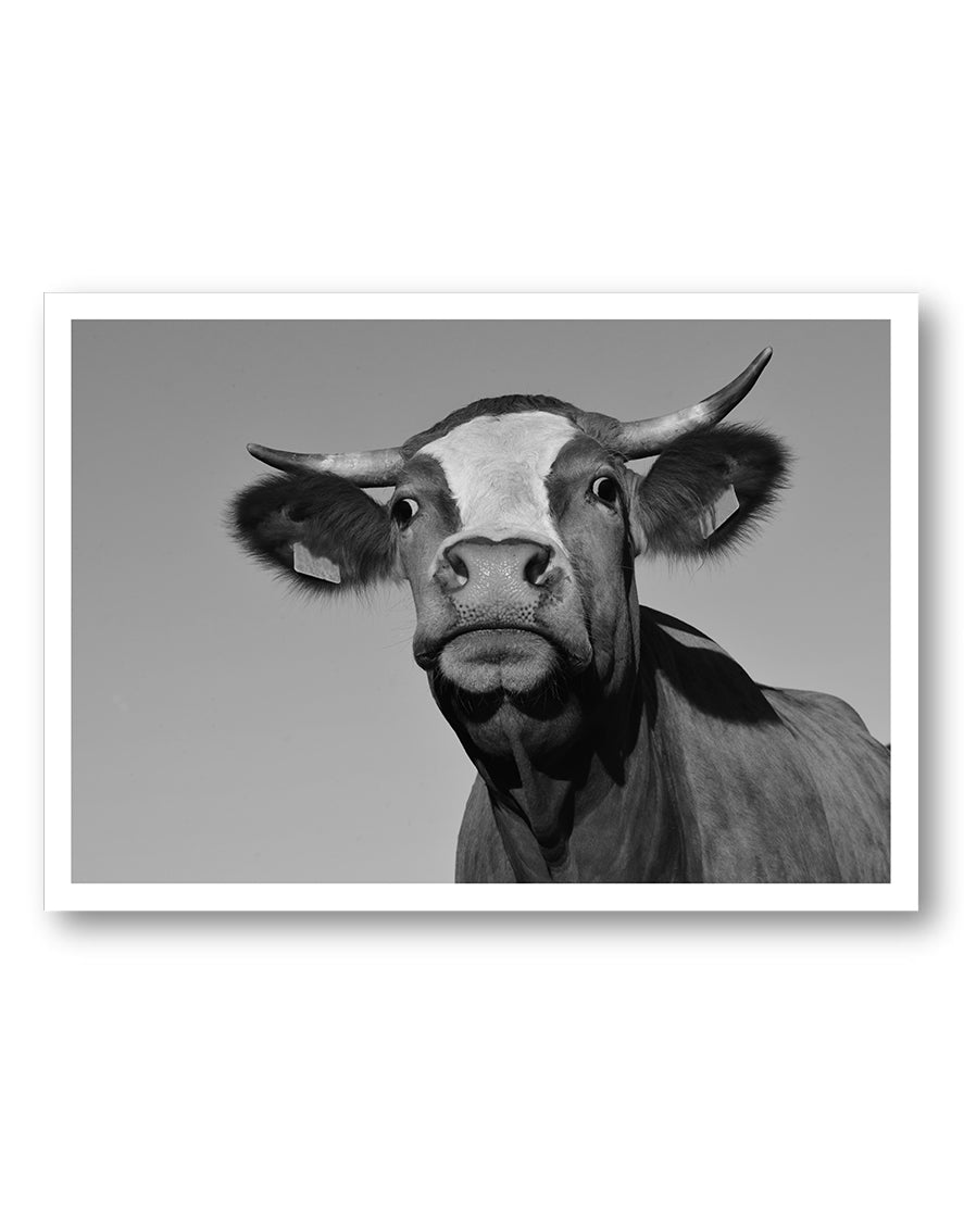 What do you want? Poster – FineArt Wandbild, moderne Kunst & Fine Art Print von Spawnd, handgefertigt & Made in Germany