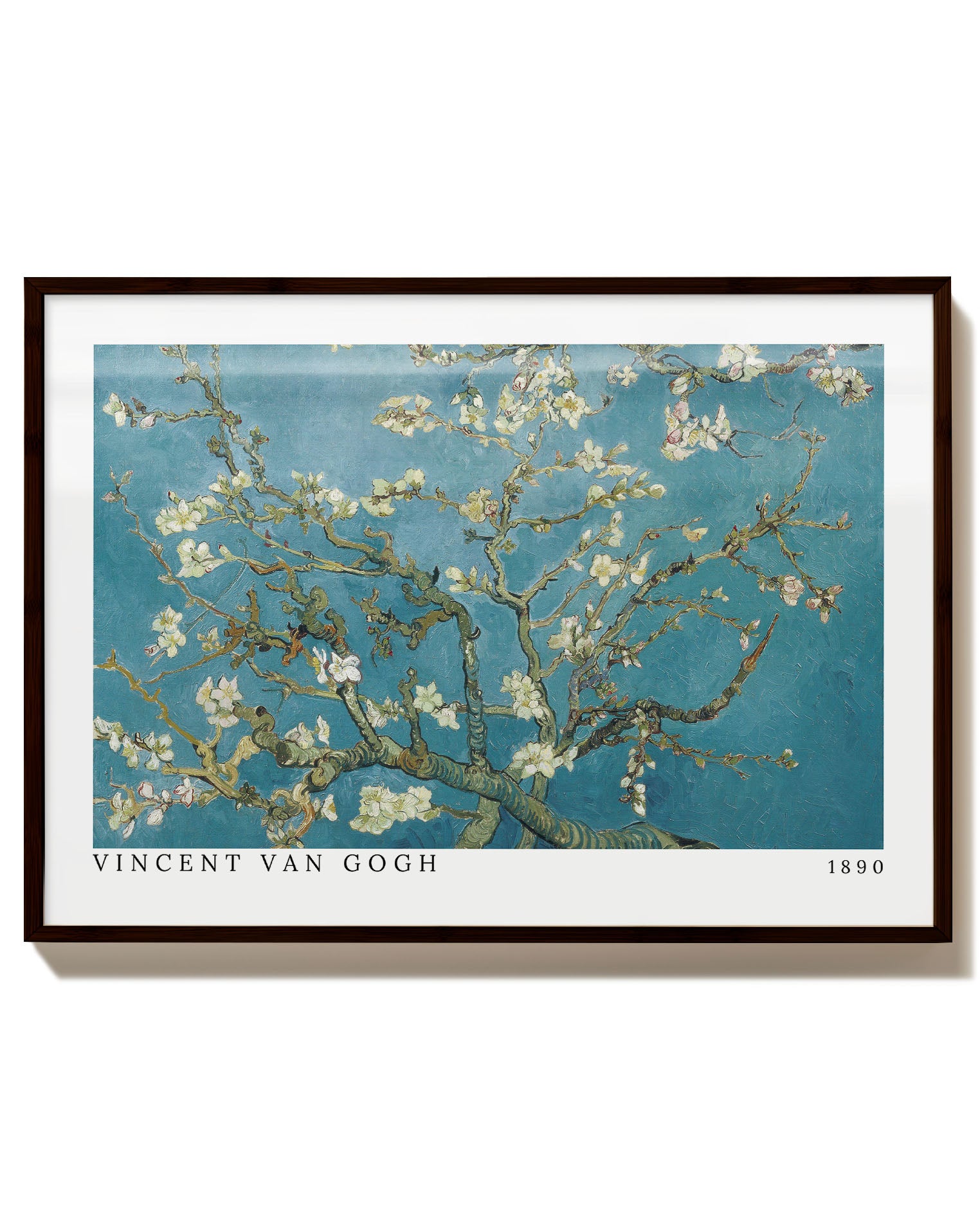 Almond blossom