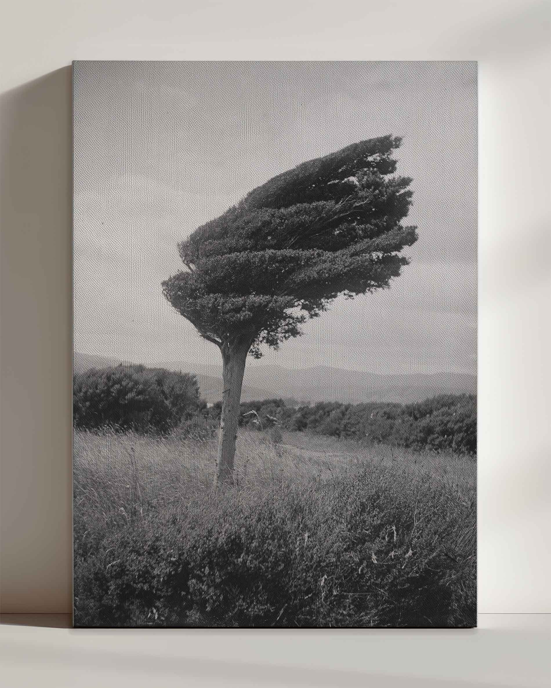 fighting tree - Leinwand