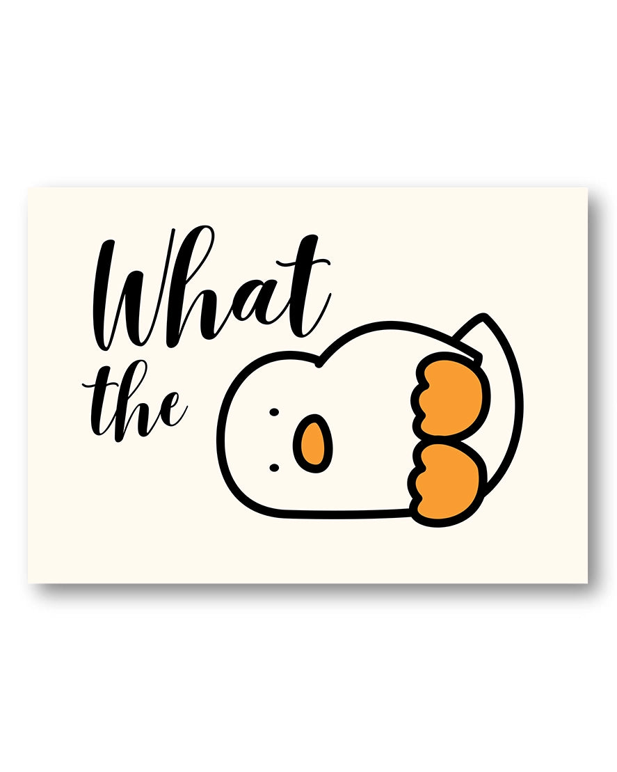 What the Duck