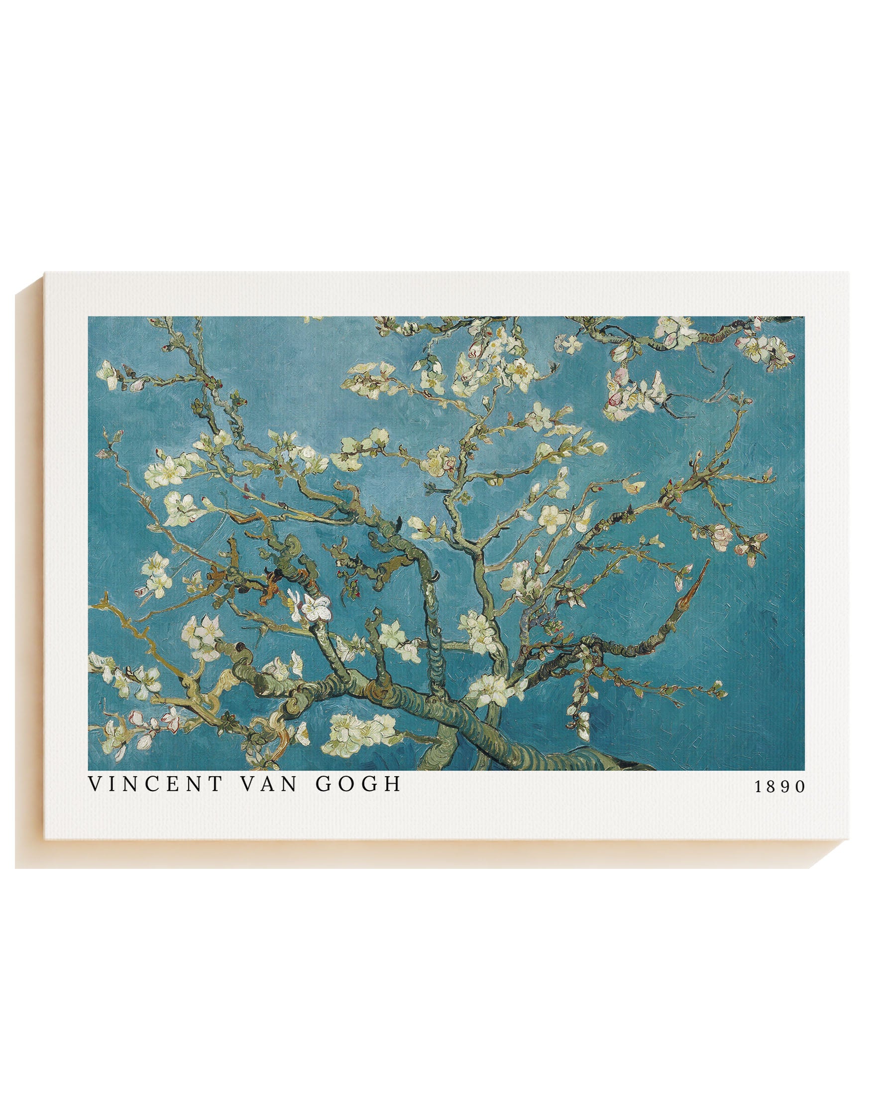 Almond blossom - Leinwand