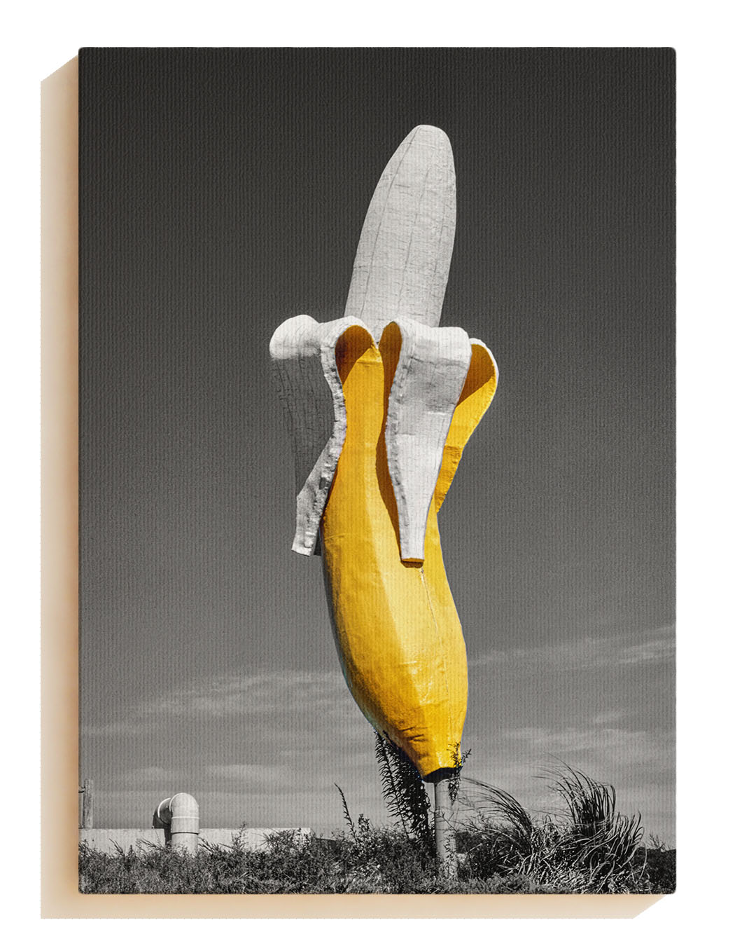 Banana - Canvas