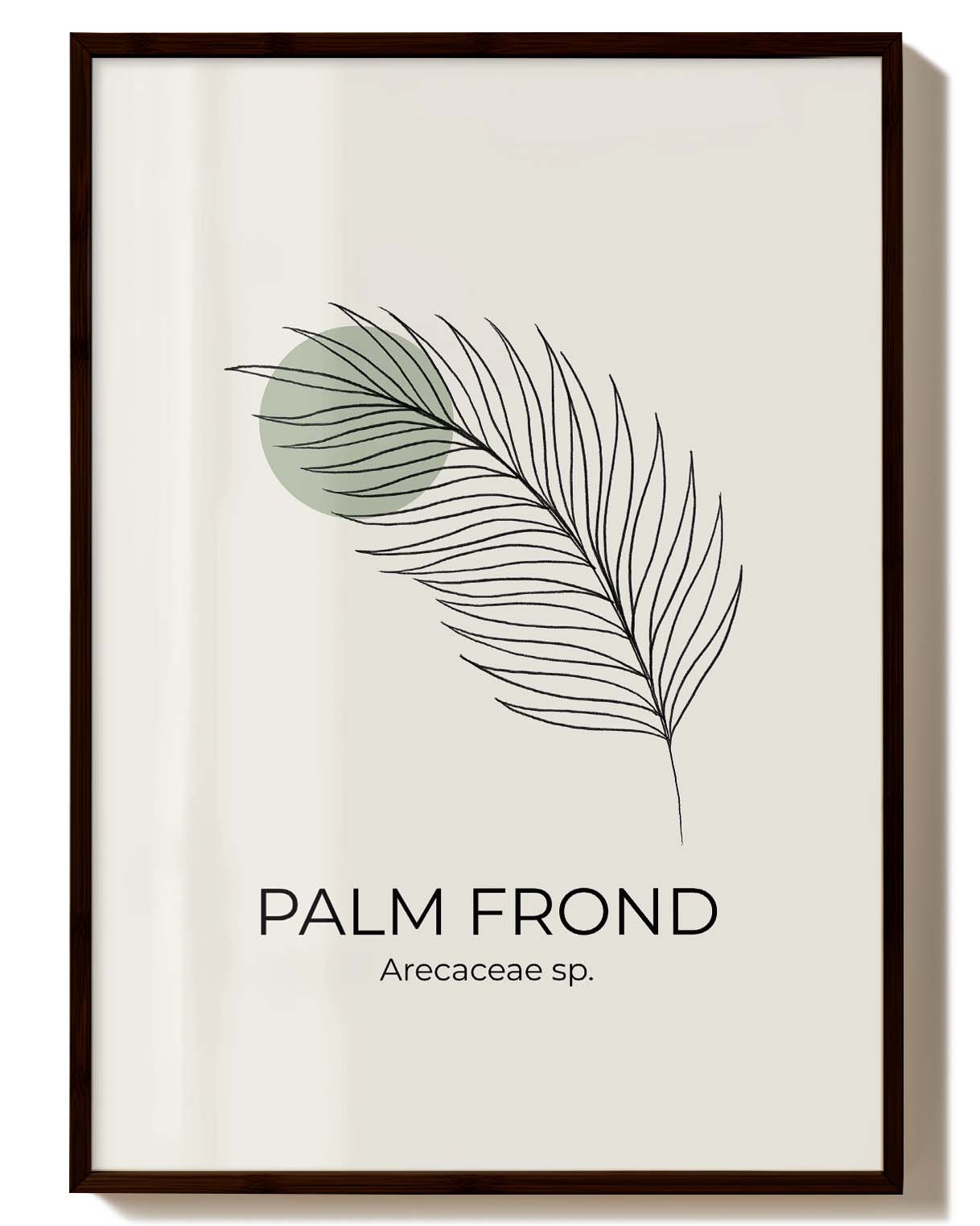 Palmblatt Dekorationsposter – Palm Frond