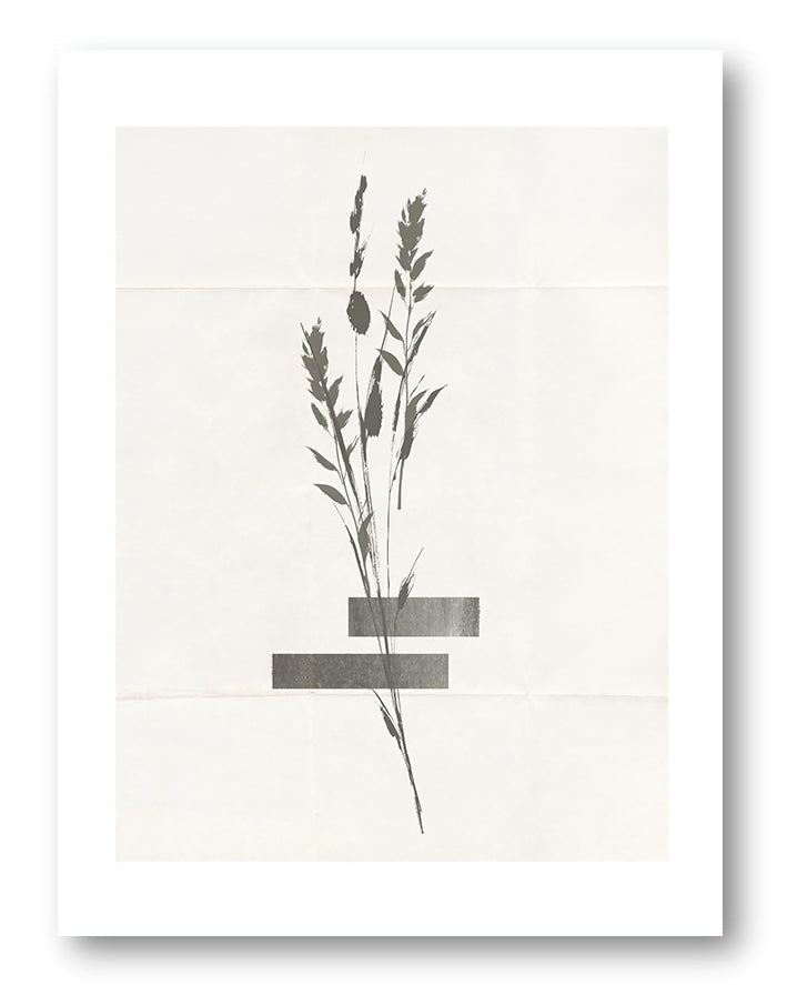 Zartes Botanik Poster – Soft Botanic Minimal