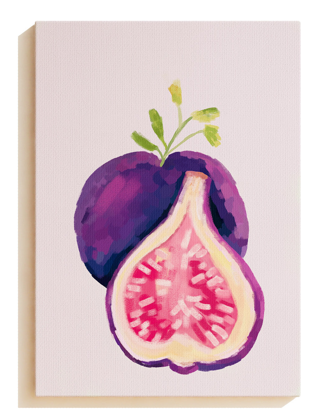 Une figue fraîche - canvas
