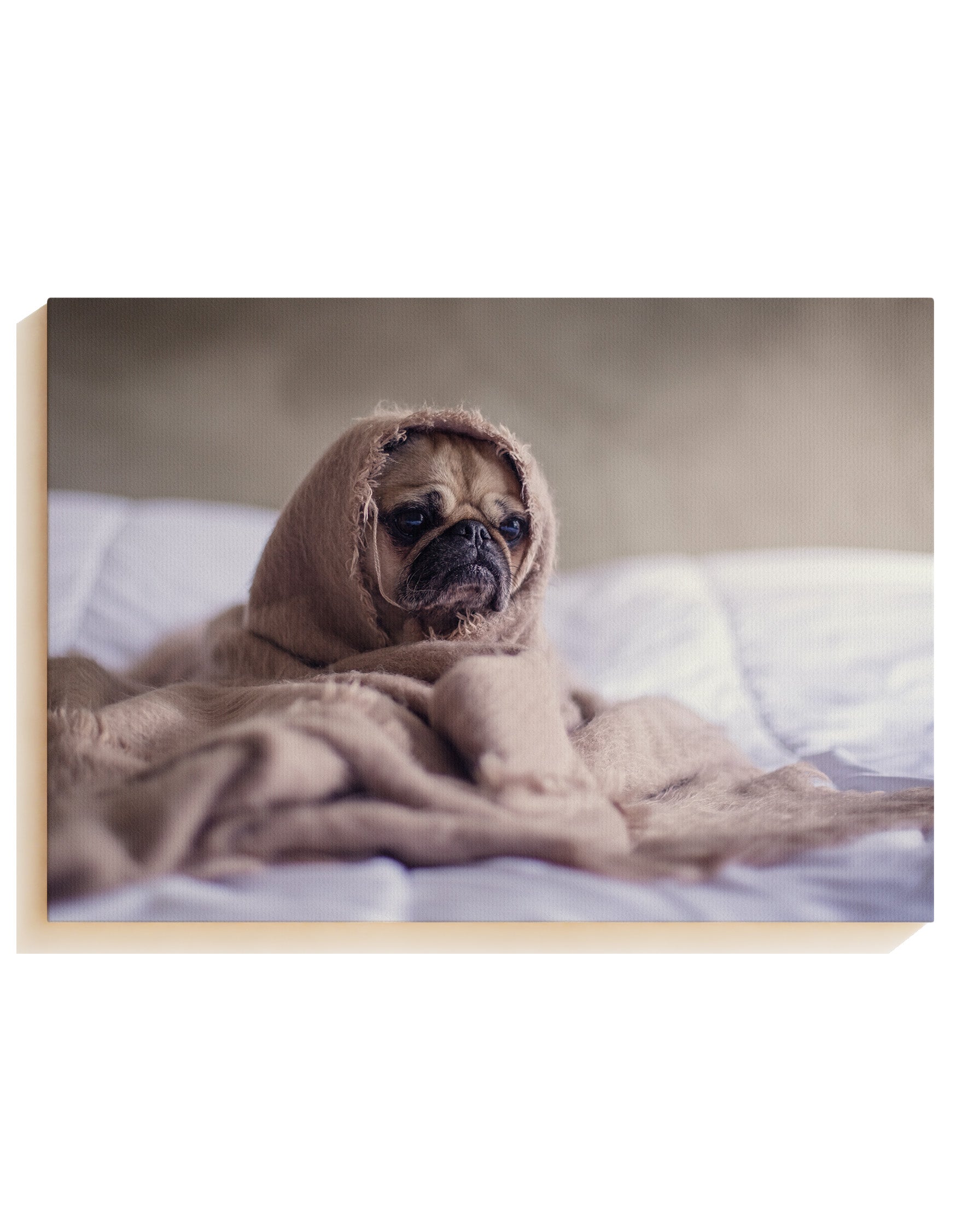 Mood - Canvas
