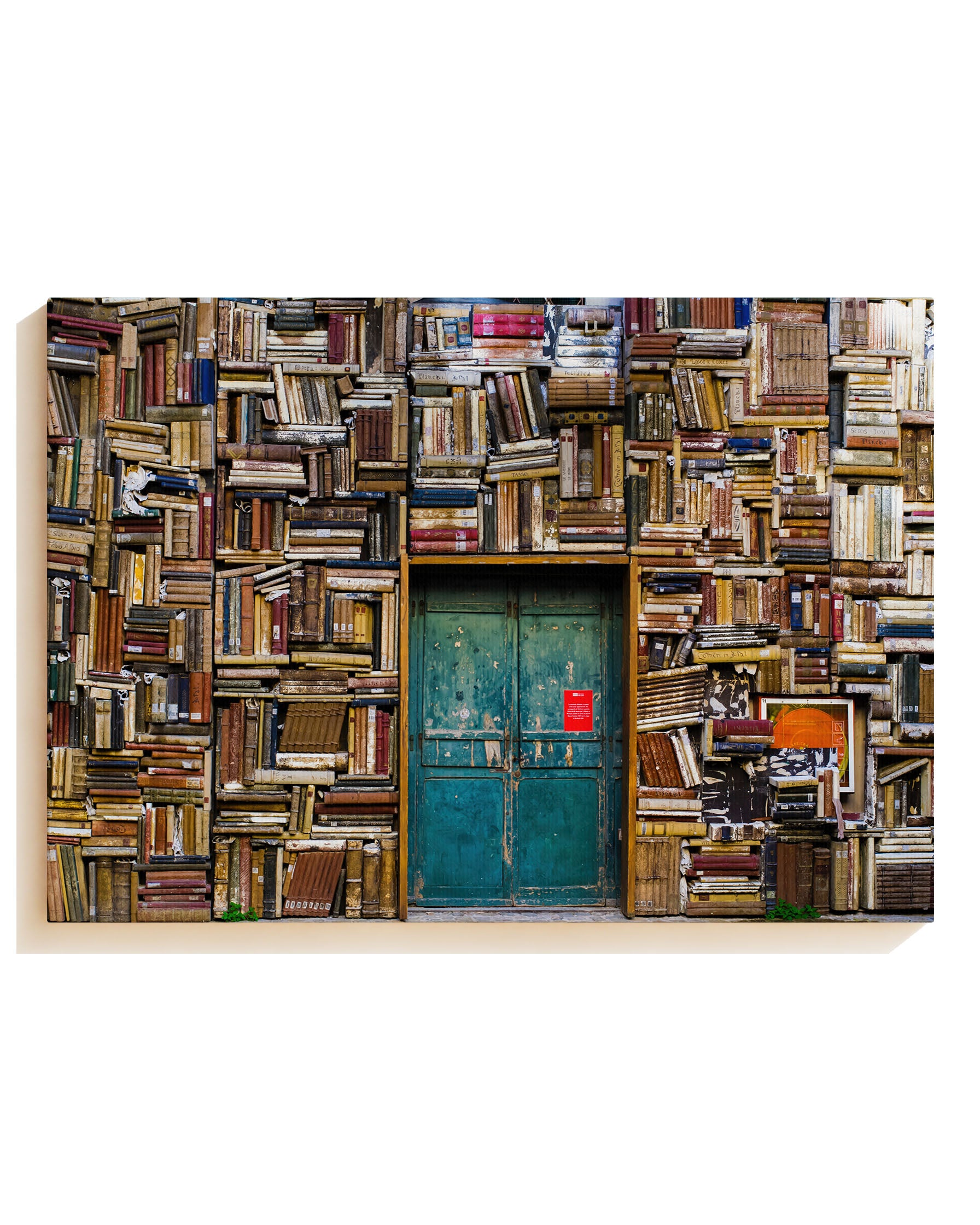 Books in shelves - Canvas