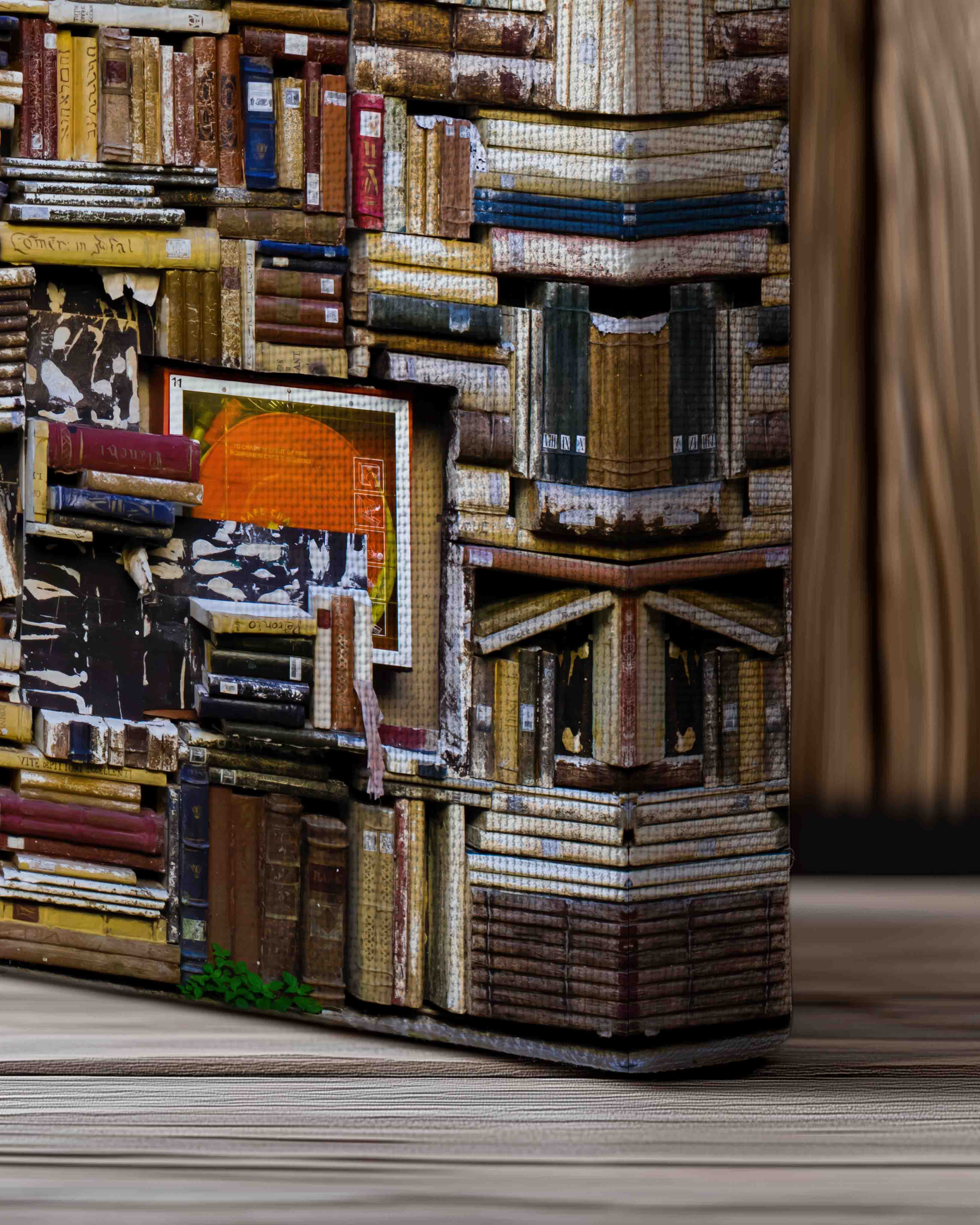 Books in shelves - Canvas