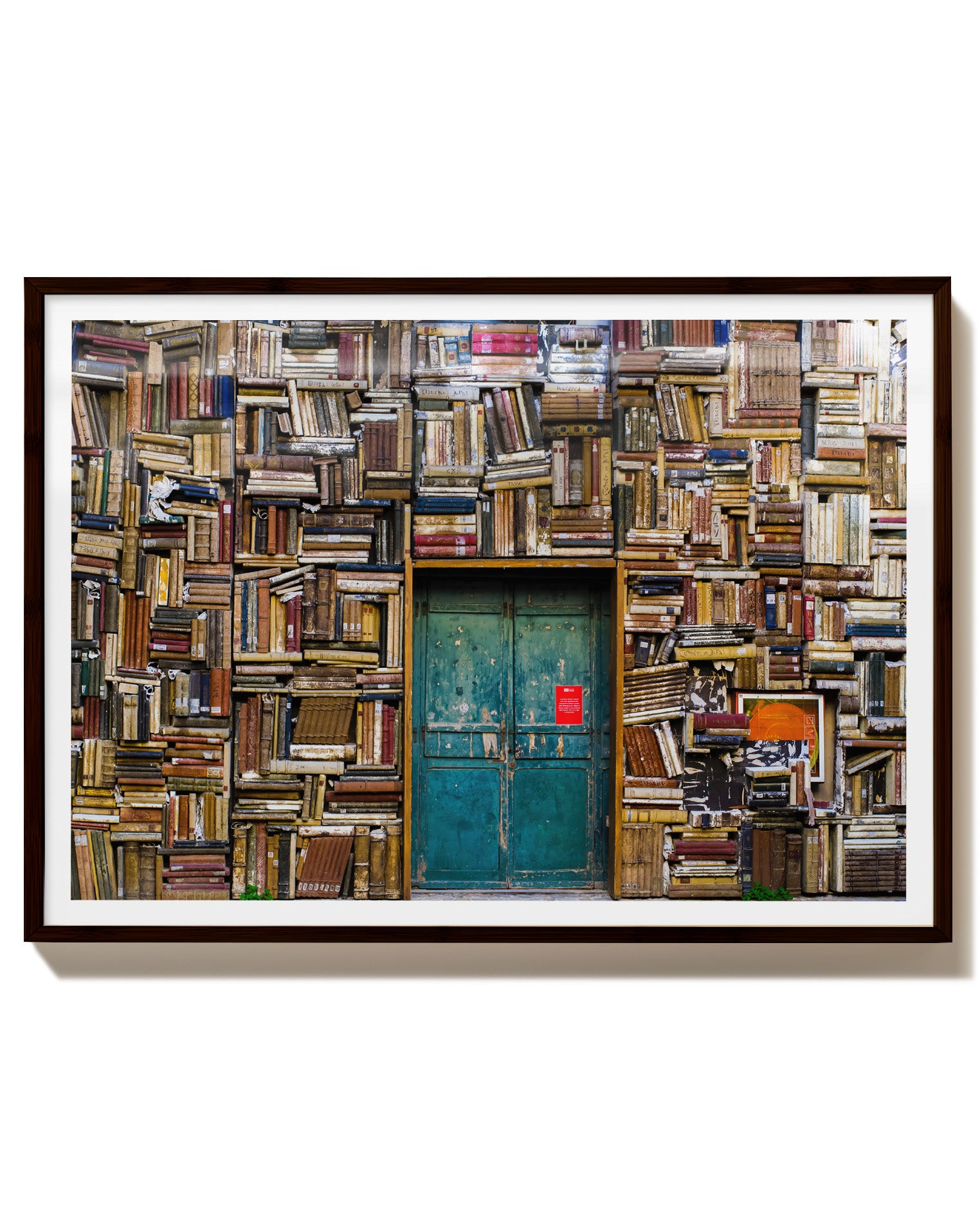 Books in shelves