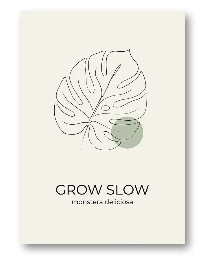 Monstera Dekorationsposter – Grow Slow