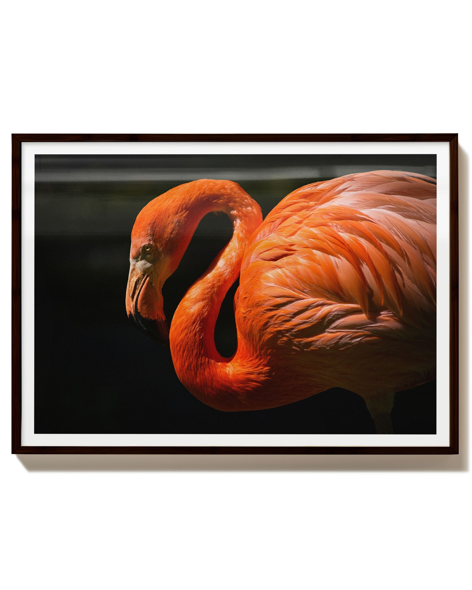 FlamingoDream