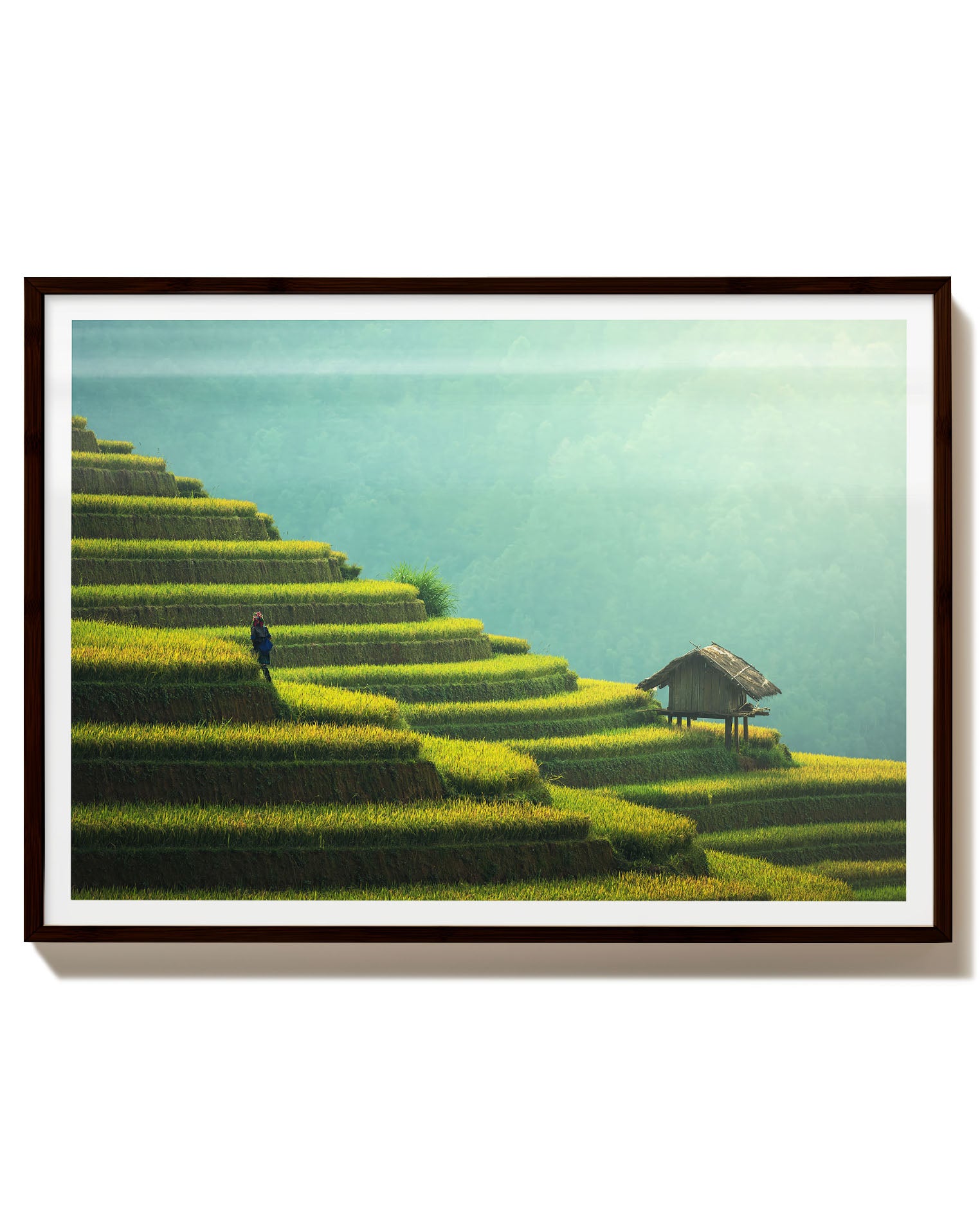 Green steps