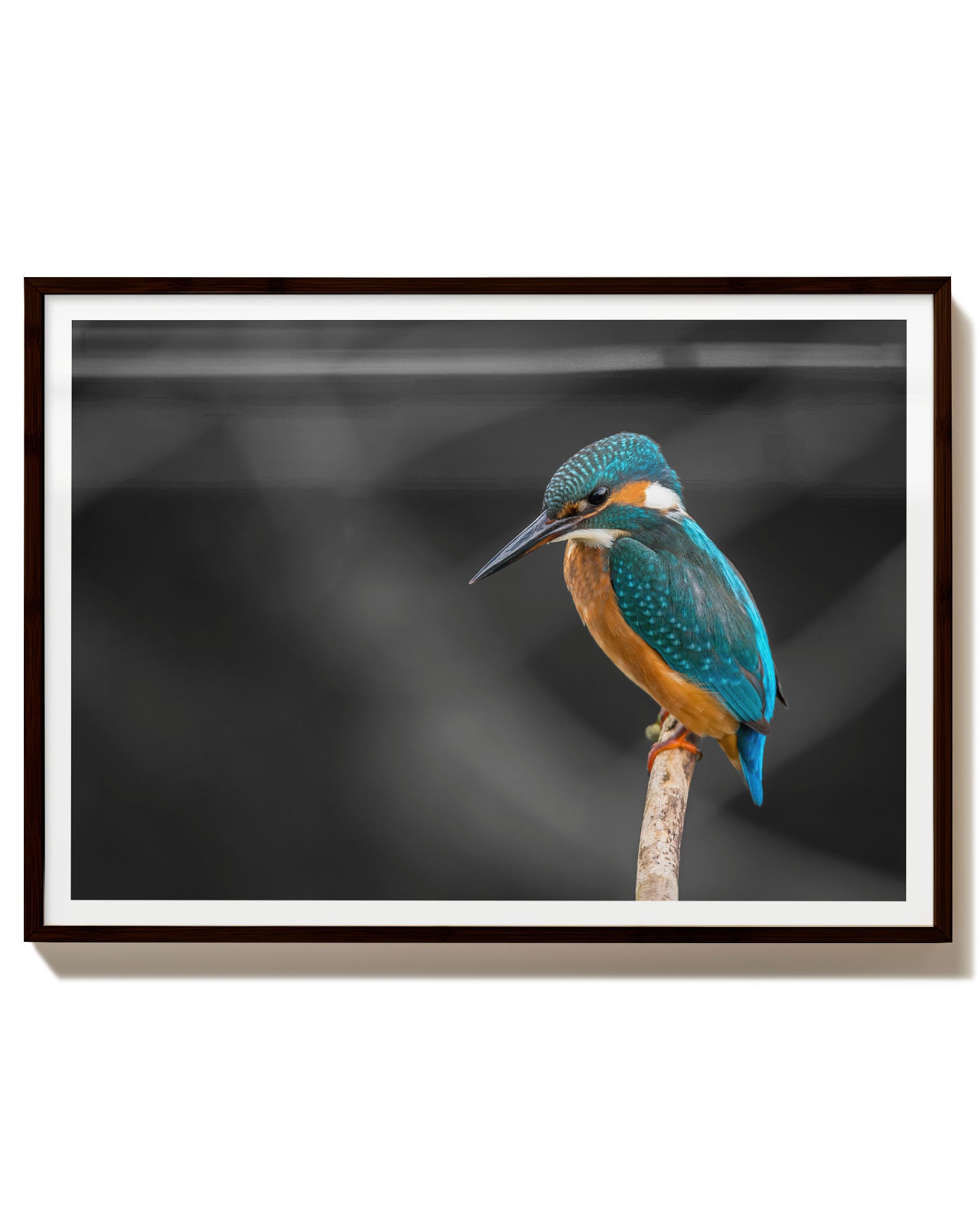 Kingfisher