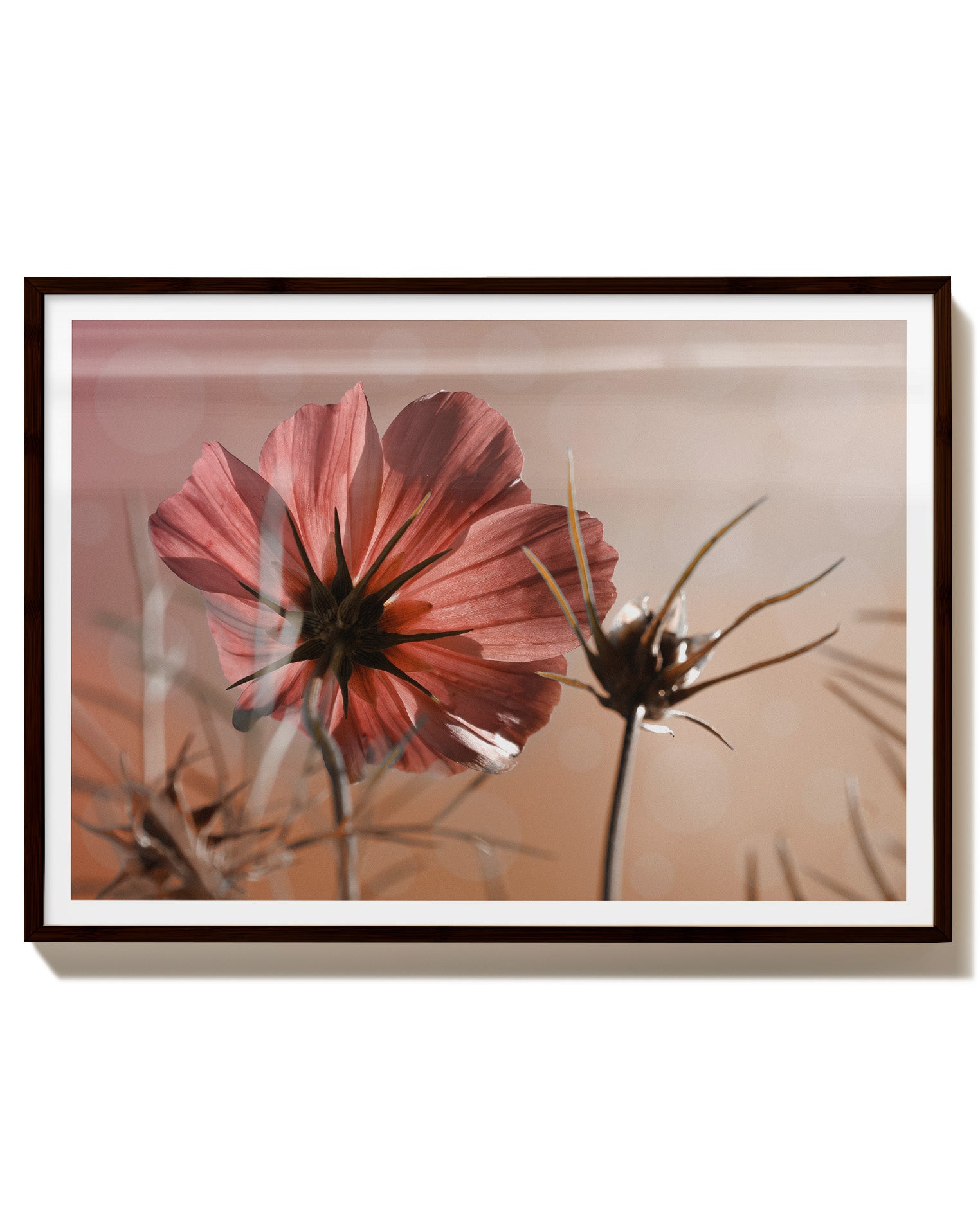 Lonely flower
