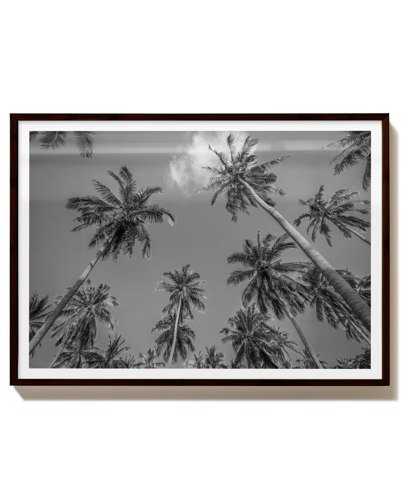 Palmes