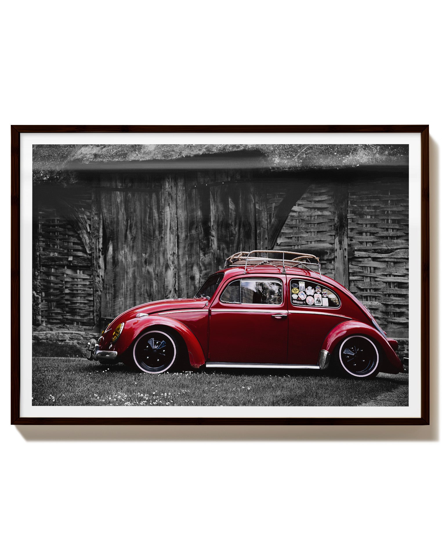 Red old beetle