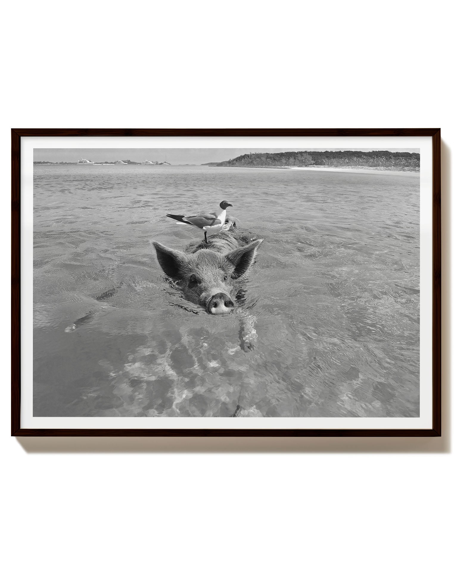 Swimming
