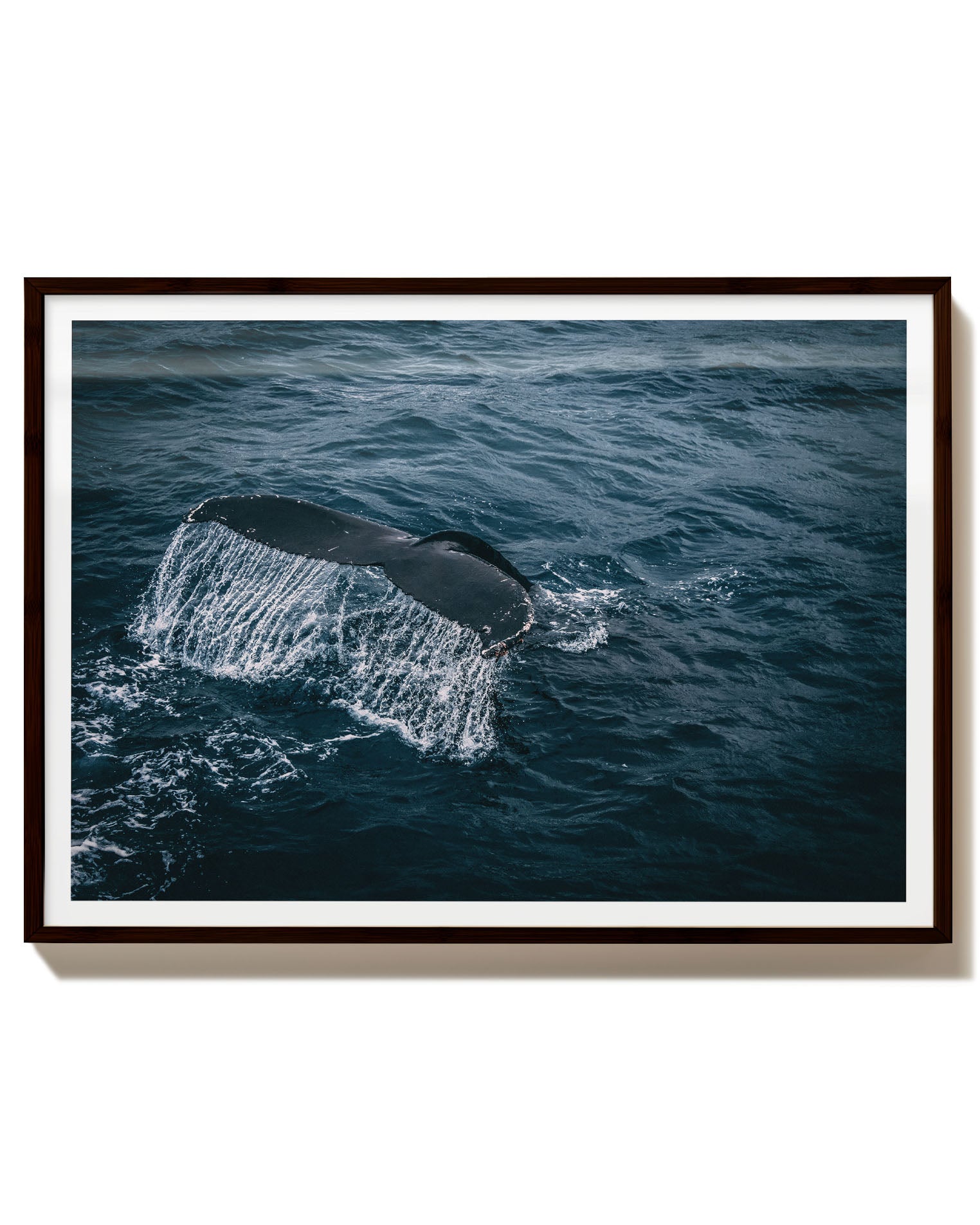 Whale