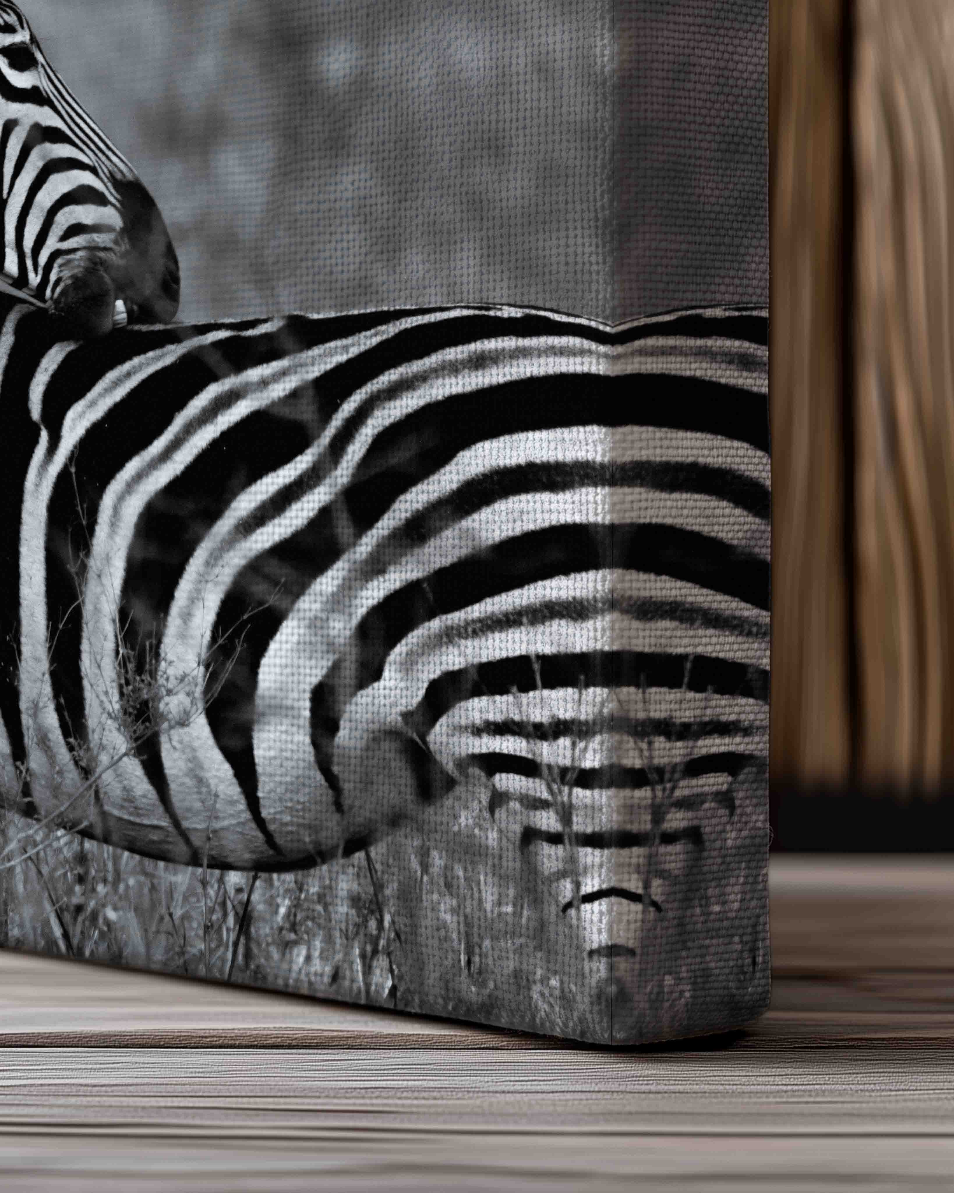 Zebra - Canvas