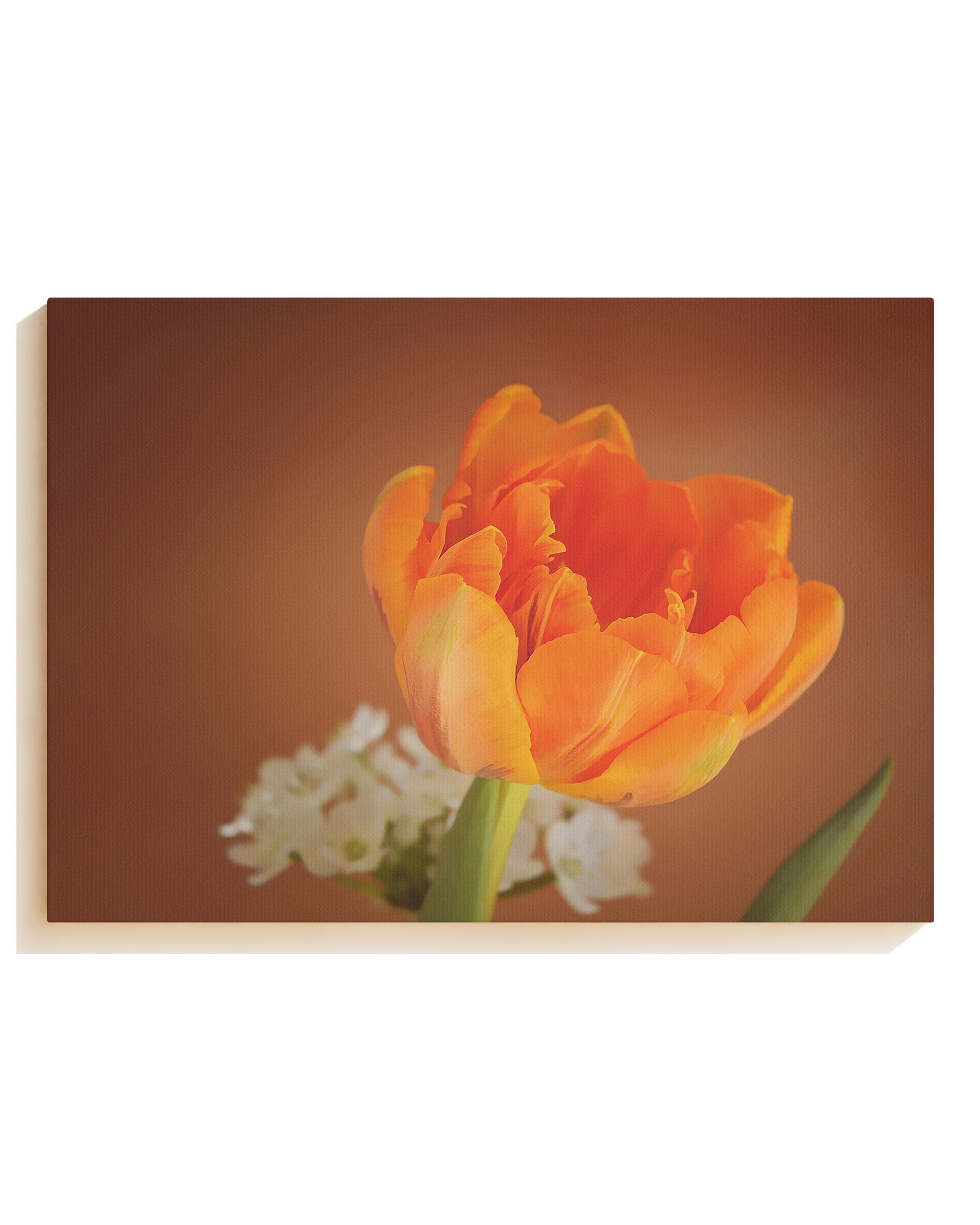 Orange flower - Canvas