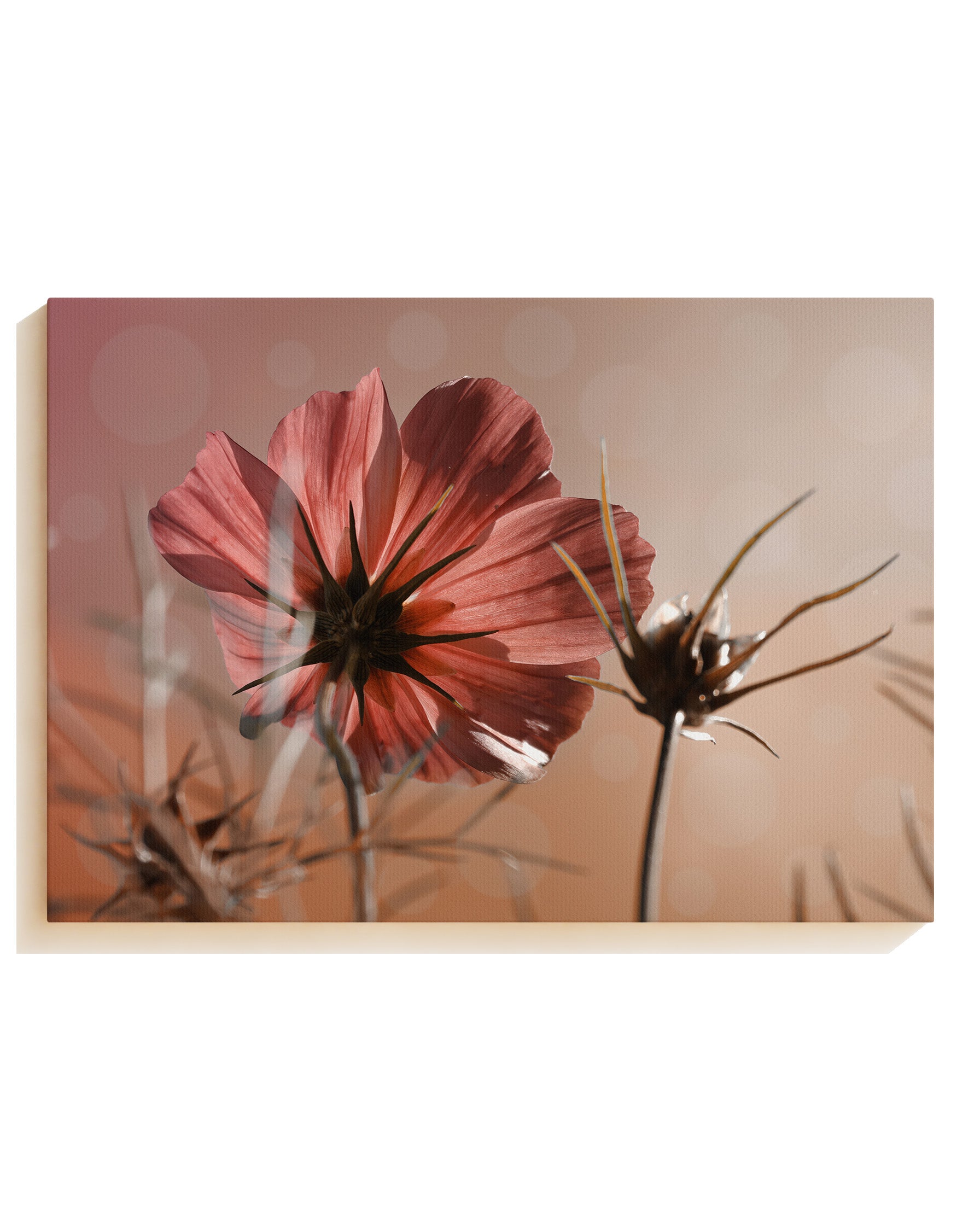 Lonely flower - Leinwand