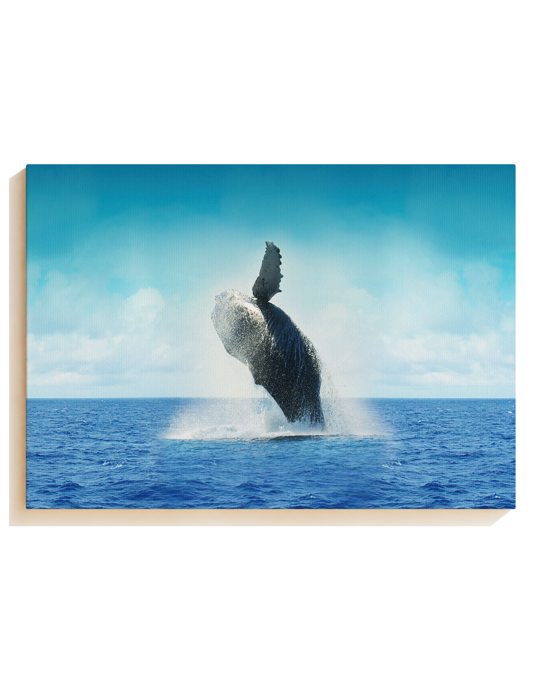 jumping - canvas
