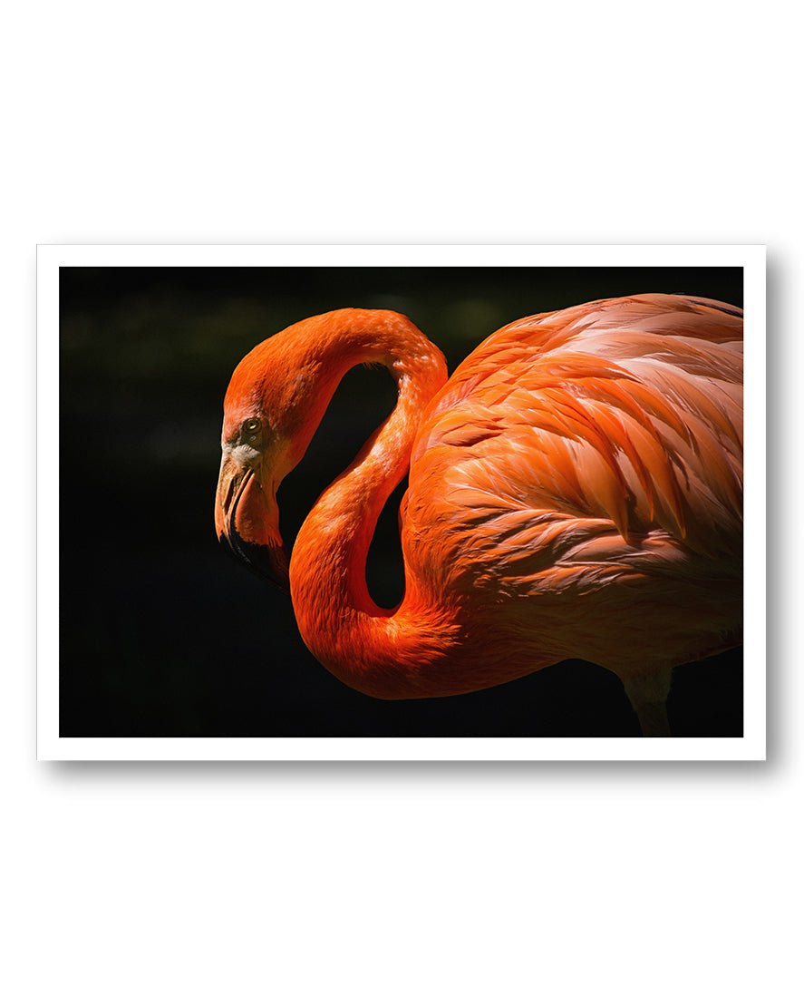 FlamingoDream Poster – FineArt Wandbild, moderne Kunst & Fine Art Print von Spawnd, handgefertigt & Made in Germany