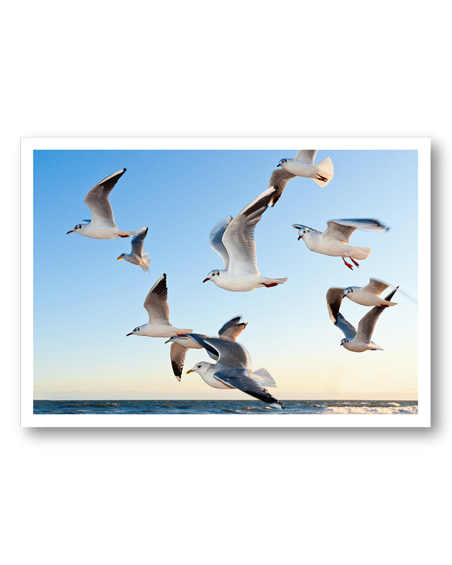 Flying Poster – FineArt Wandbild, moderne Kunst & Fine Art Print von Spawnd, handgefertigt & Made in Germany