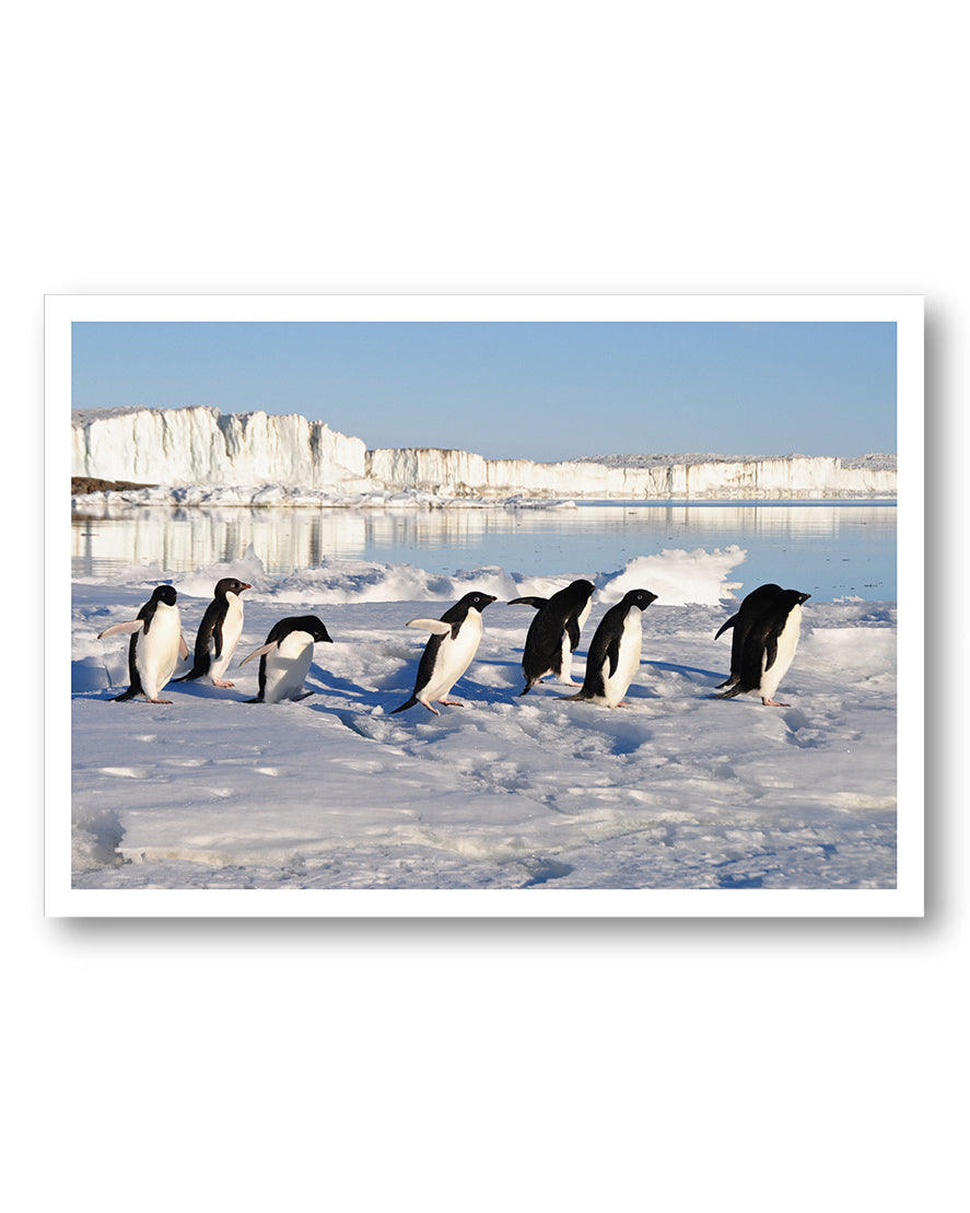 Ice Poster – FineArt Wandbild, moderne Kunst & Fine Art Print von Spawnd, handgefertigt & Made in Germany