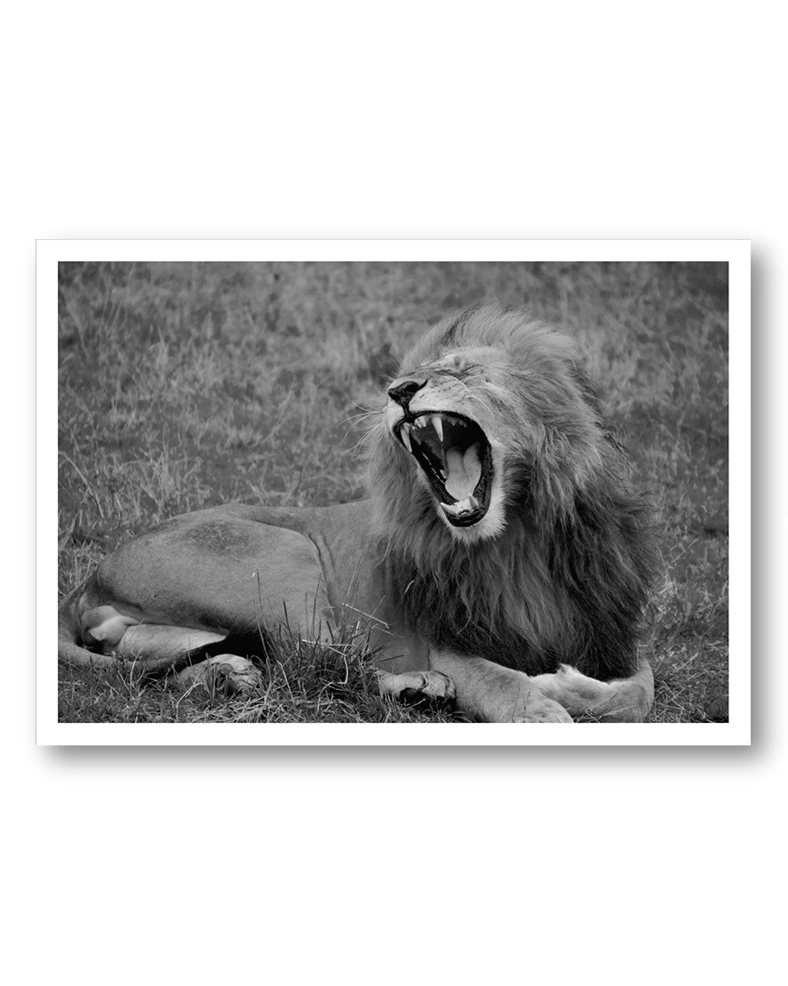 Lion Poster – FineArt Wandbild, moderne Kunst & Fine Art Print von Spawnd, handgefertigt & Made in Germany