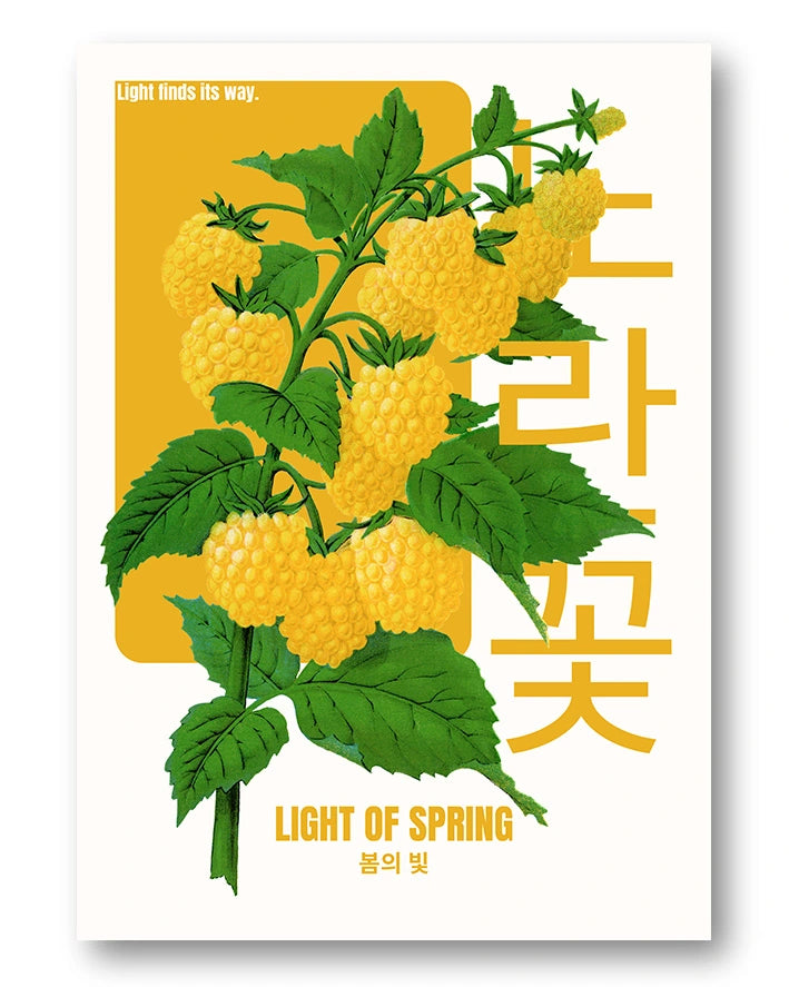 Springlight