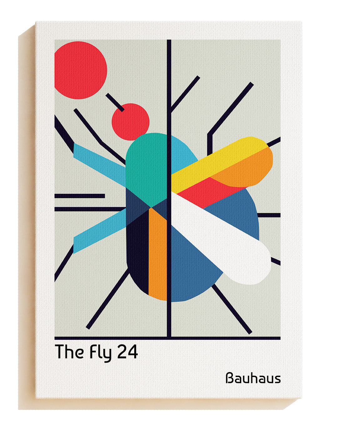 The Fly - Screen