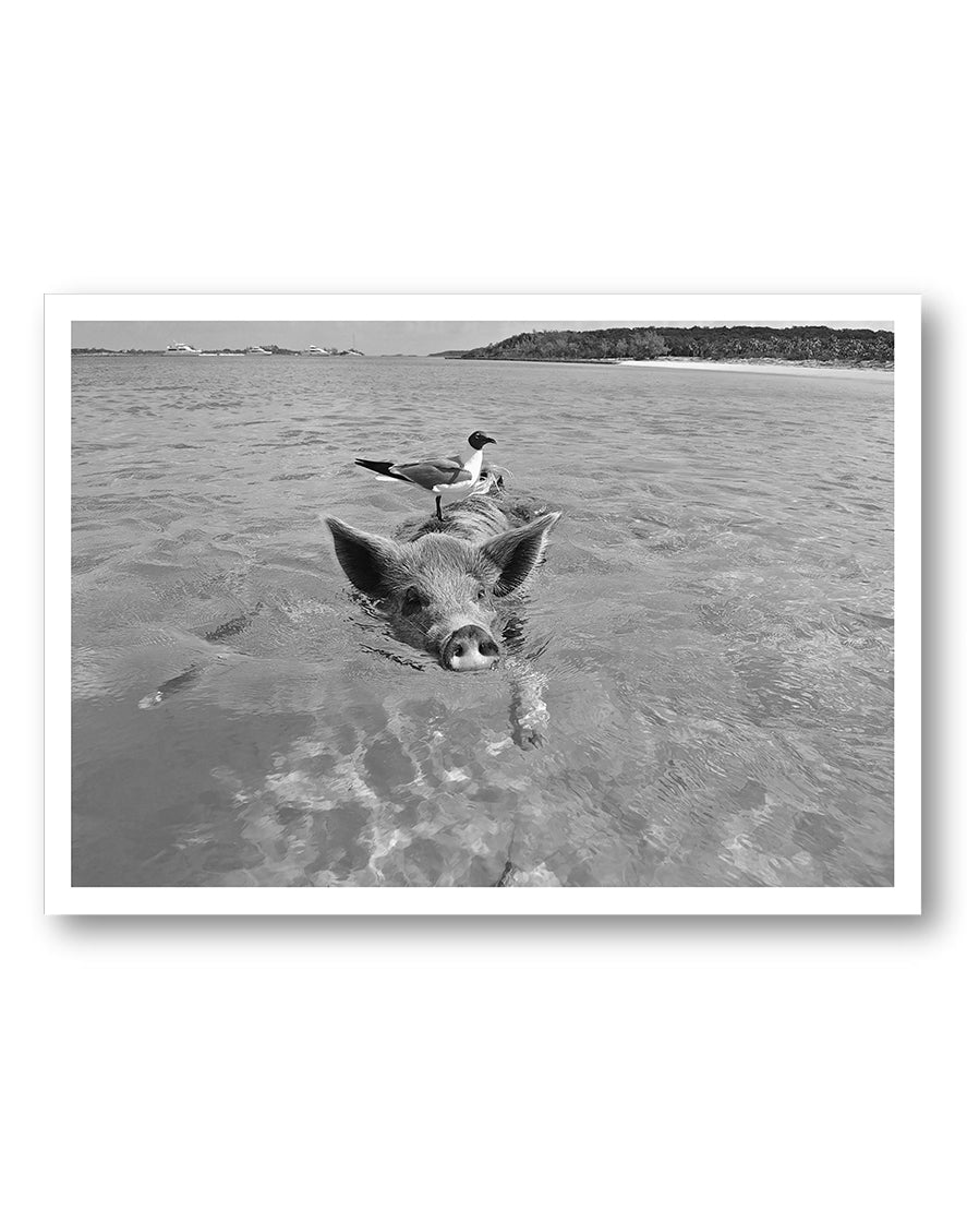 Swimming Poster – FineArt Wandbild, moderne Kunst & Fine Art Print von Spawnd, handgefertigt & Made in Germany