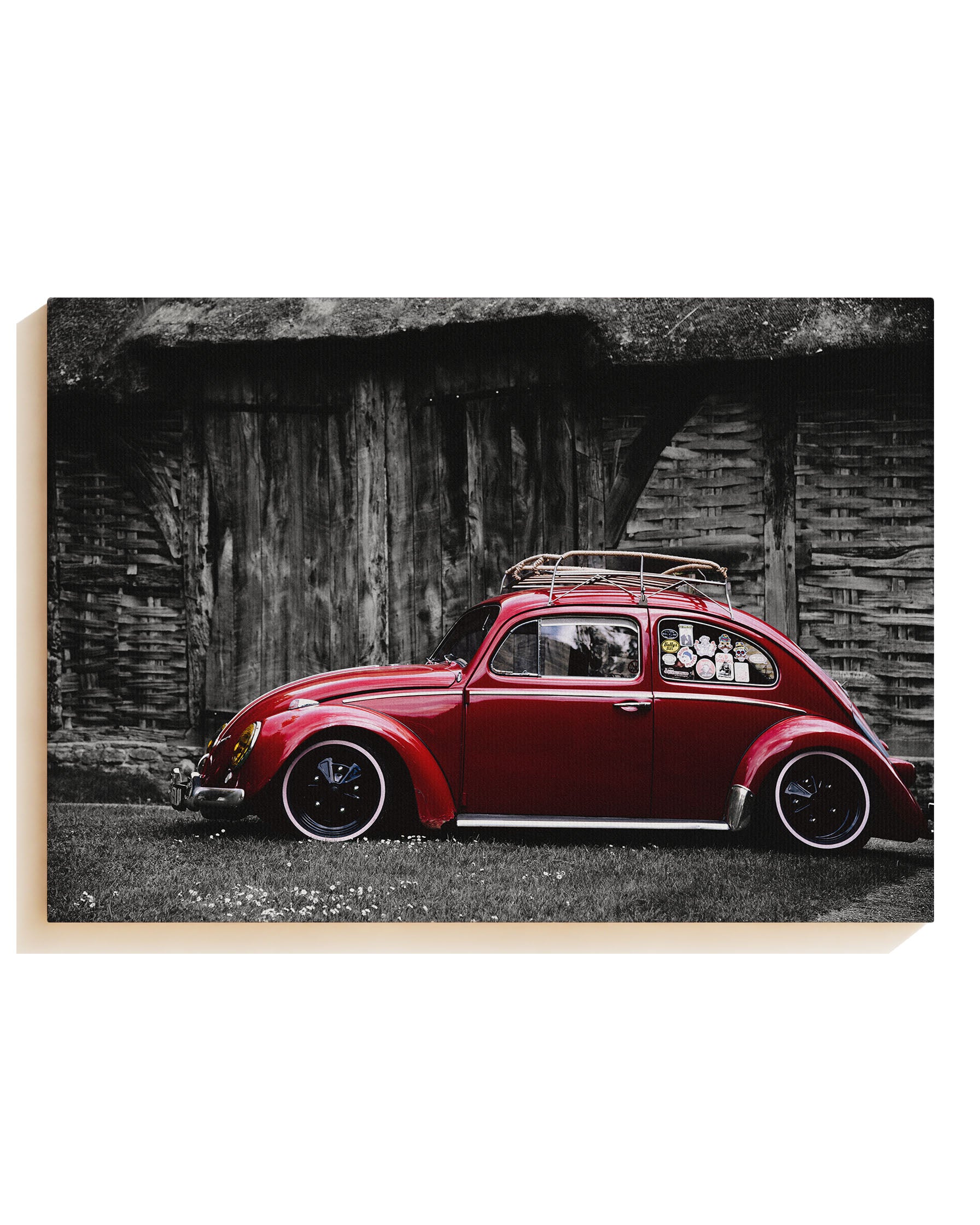 Red old beetle - Canvas